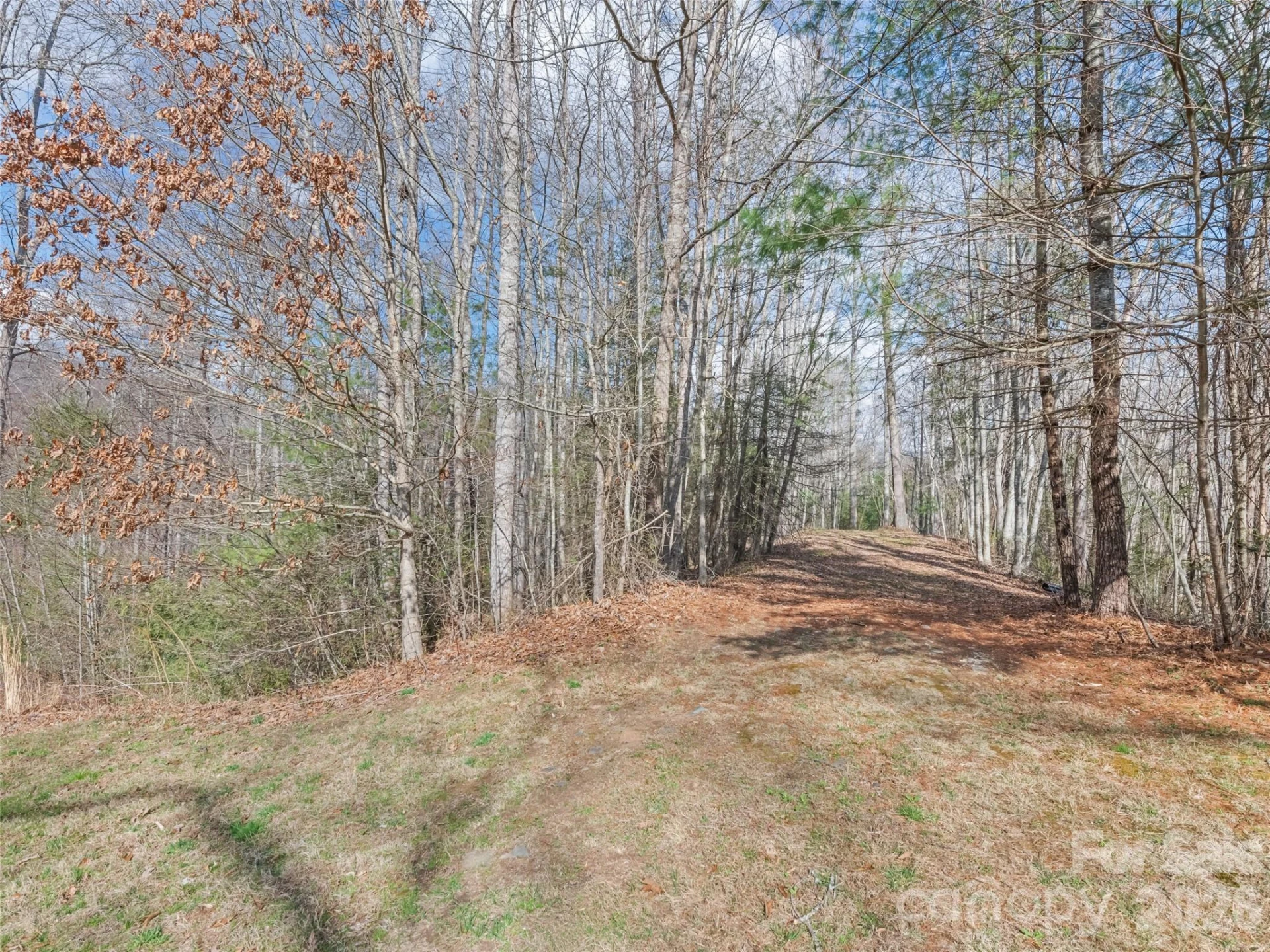 00 Harleys Cove #lots 20 & 21 - Photo 9