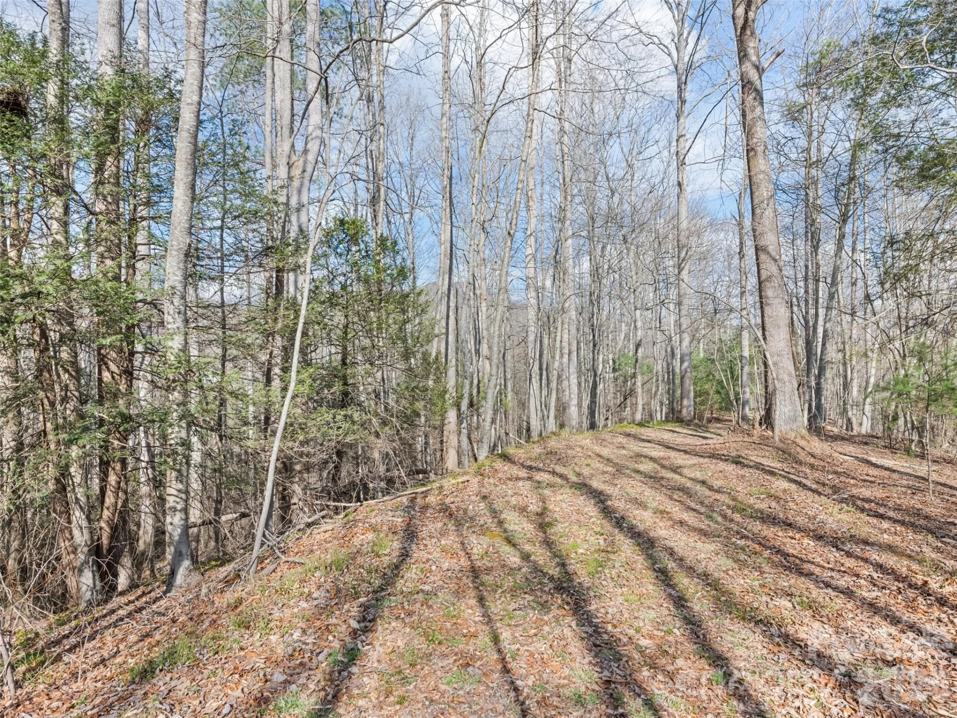 00 Harleys Cove #lots 20 & 21 - Photo 10