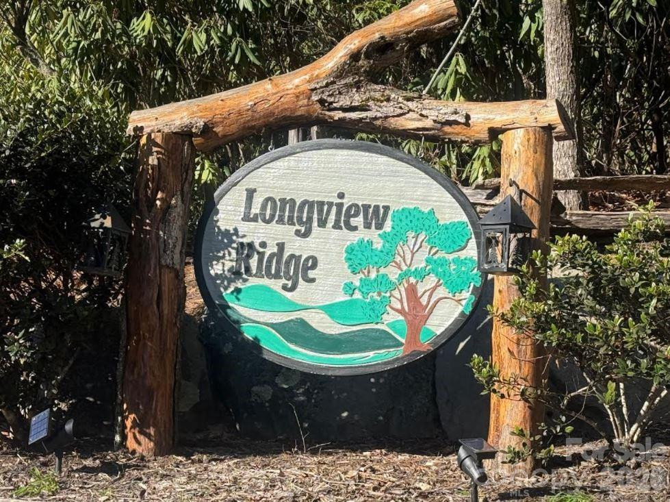 78 Longview Ridge - Photo 43