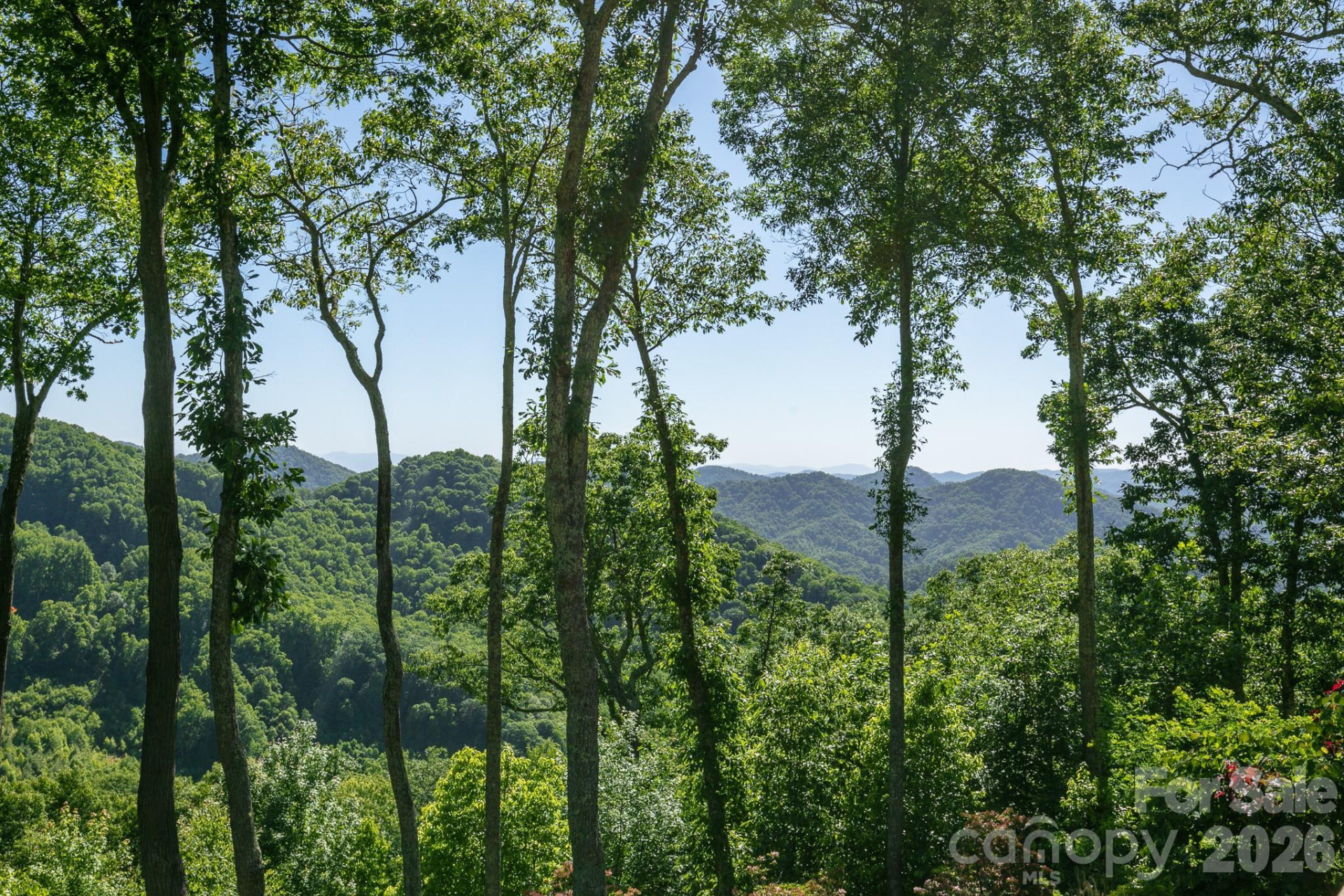 307 Spring Rock Road - Photo 31