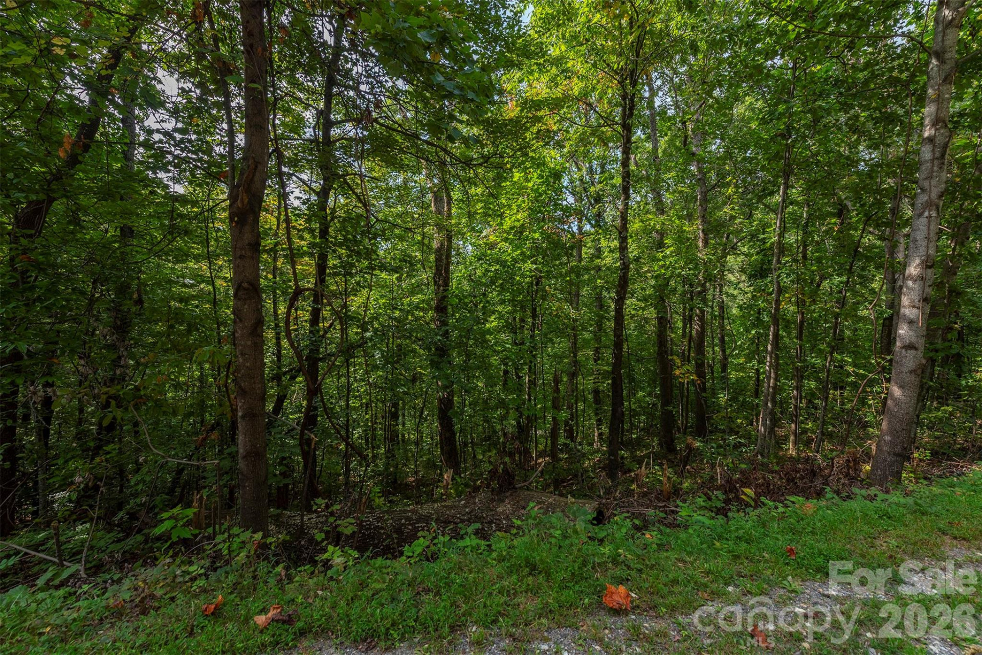 99999 Gateway Parkway - Photo 15