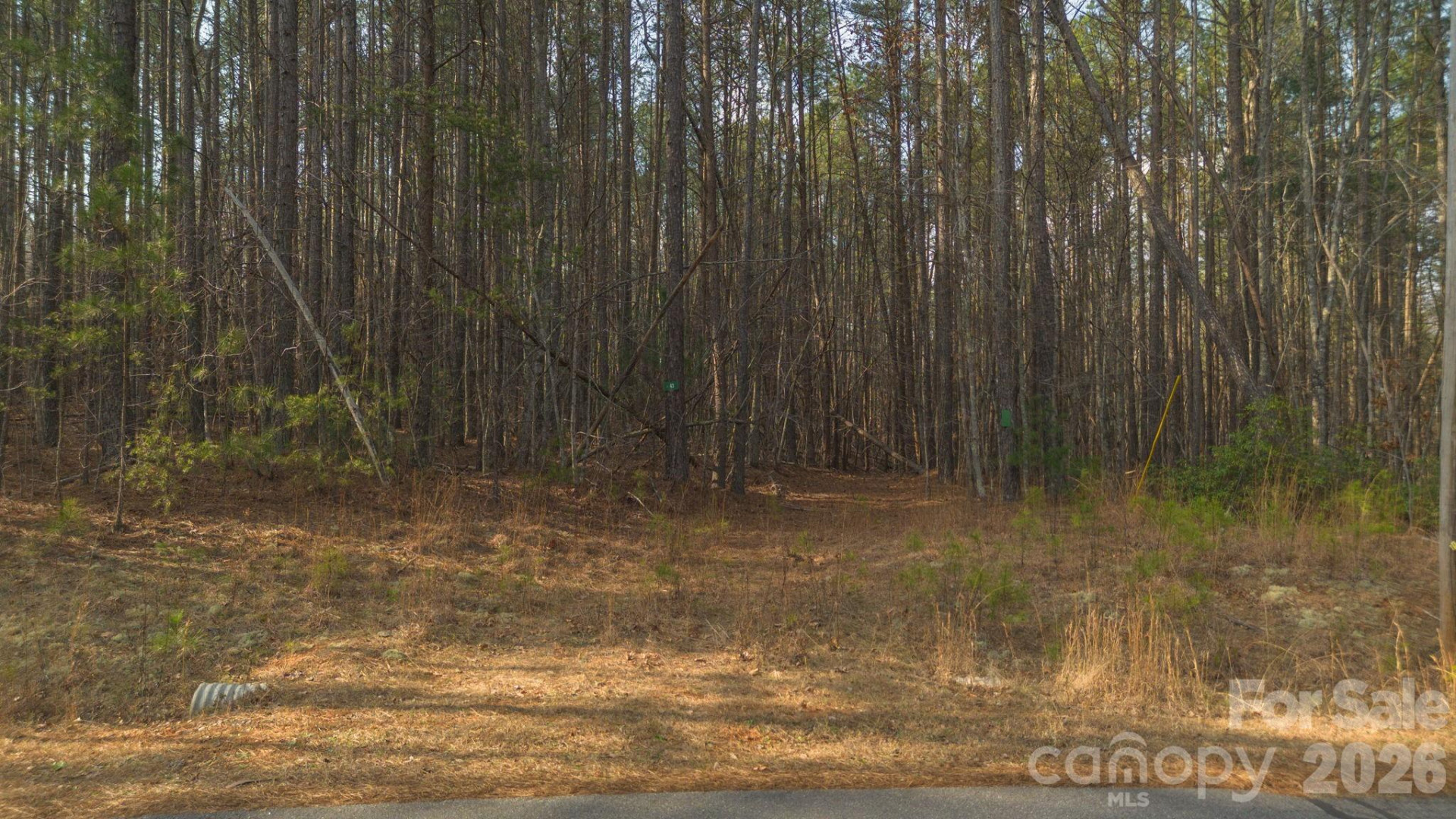 4196 South View Boulevard - Photo 9