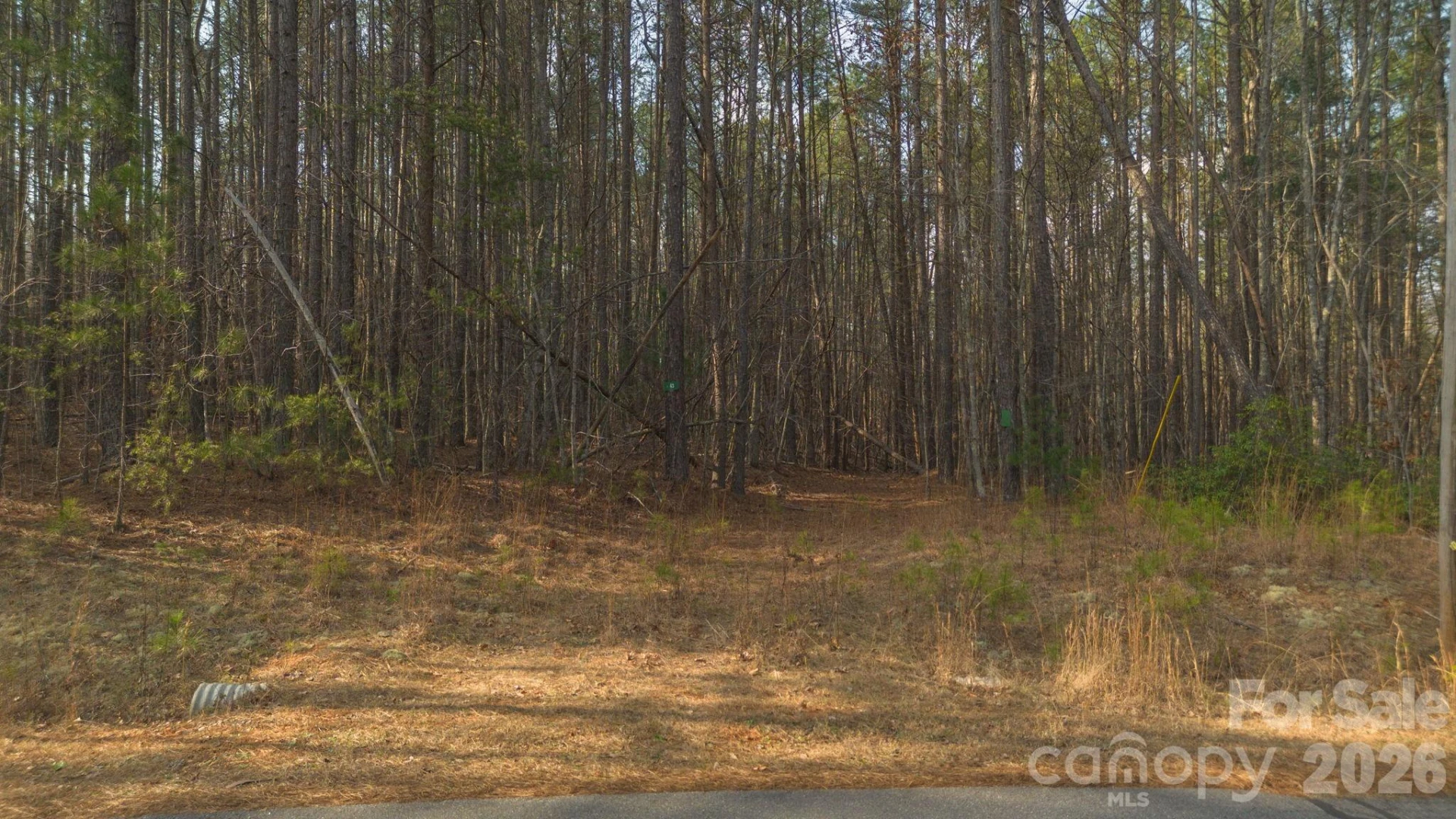 4196 South View Boulevard - Photo 9
