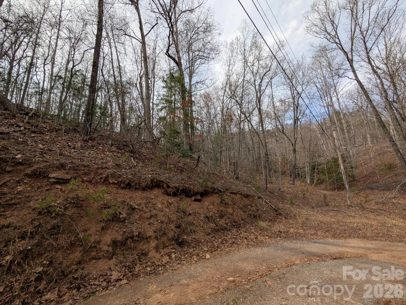 4960 Singleton Drive - Photo 3