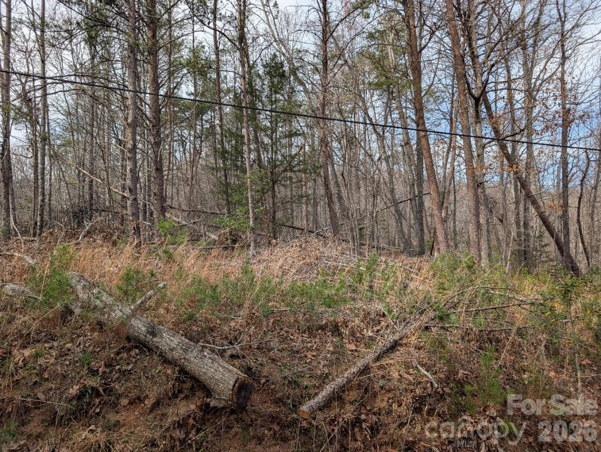 4960 Singleton Drive - Photo 4