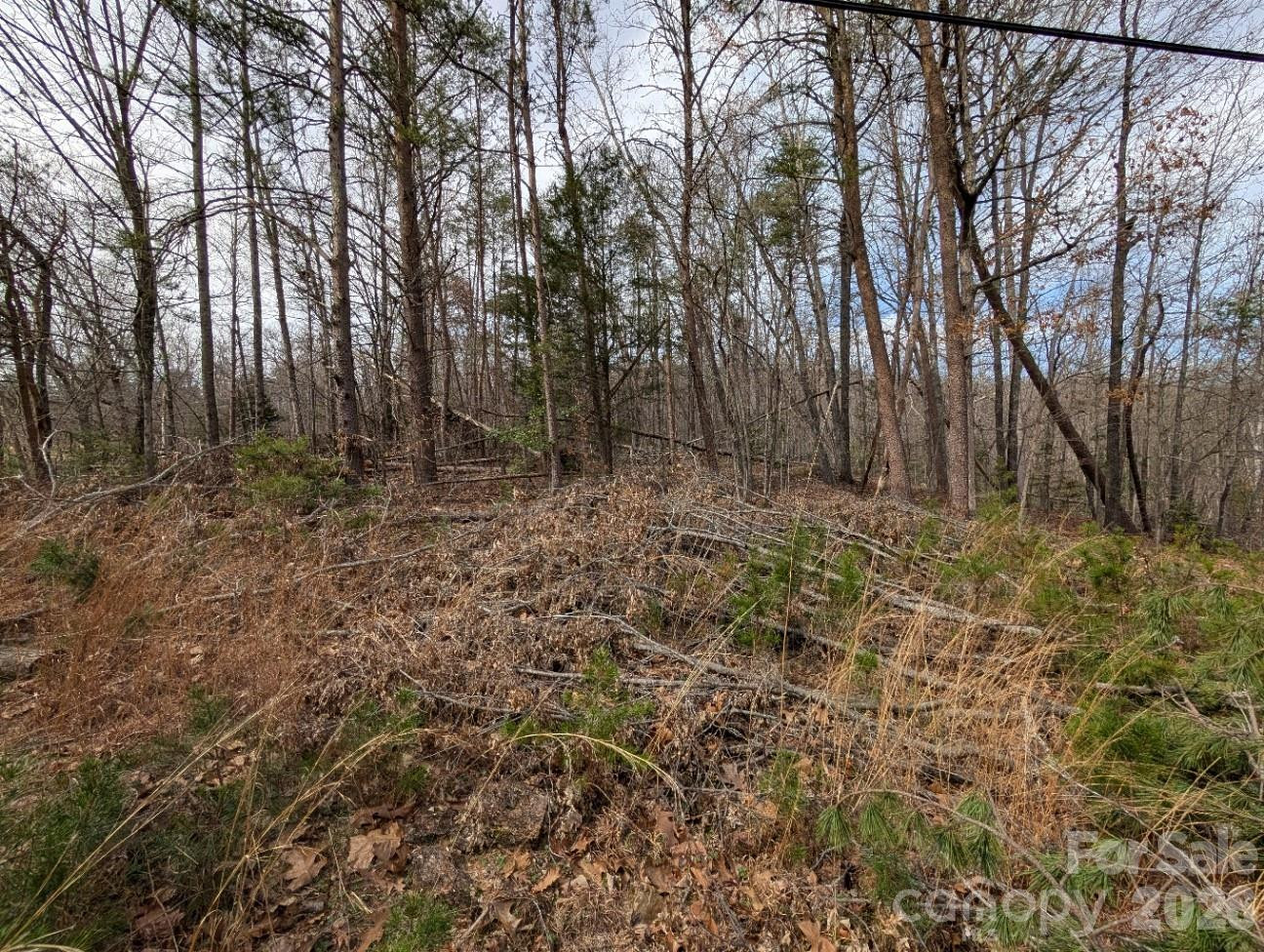 4960 Singleton Drive - Photo 5