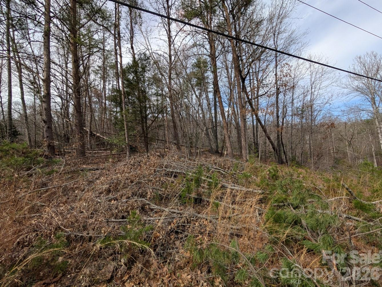 4960 Singleton Drive - Photo 6