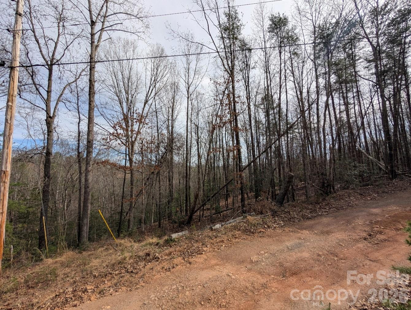 4960 Singleton Drive - Photo 8