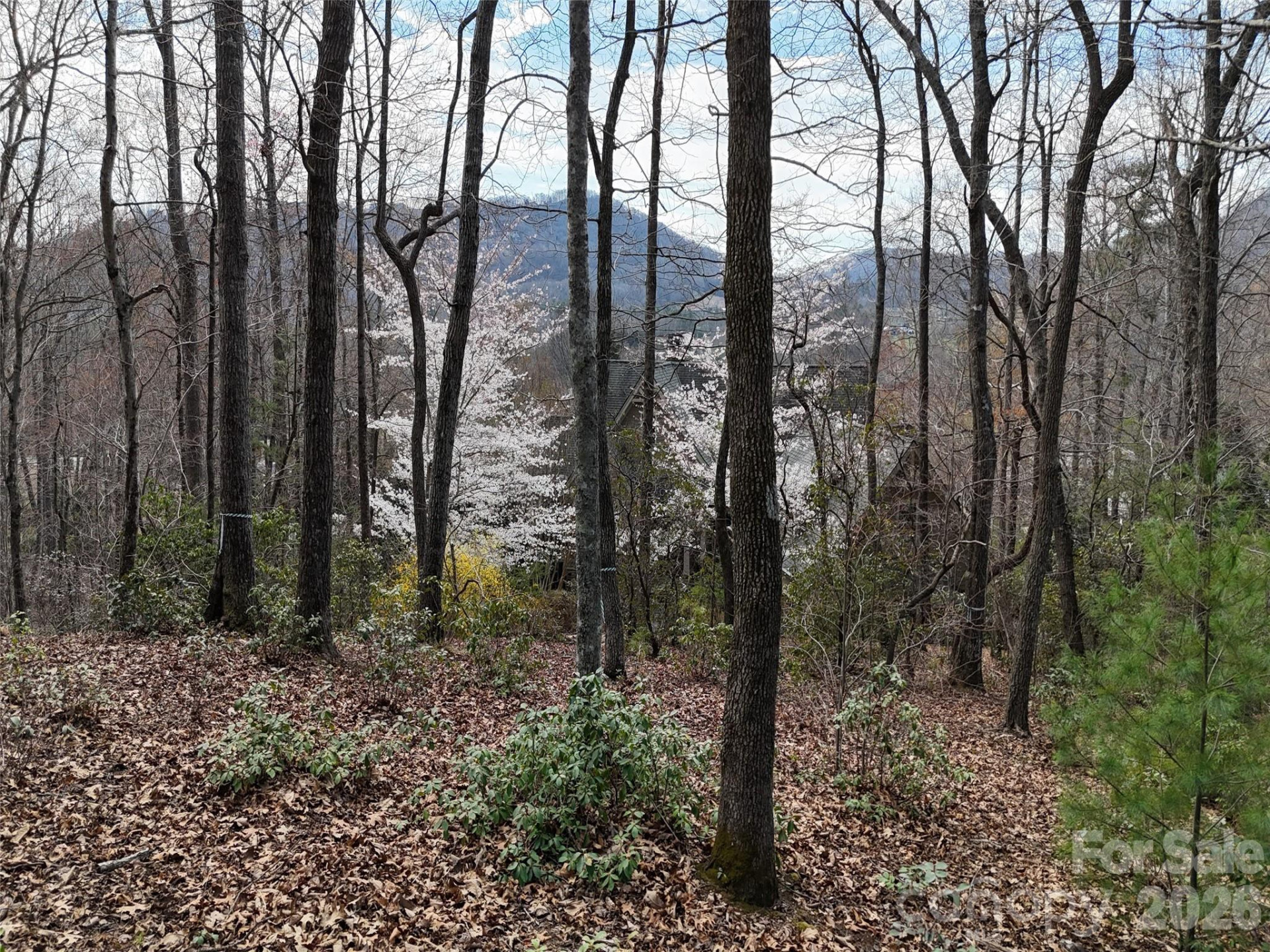 709 Craggyside Lane #24 - Photo 2