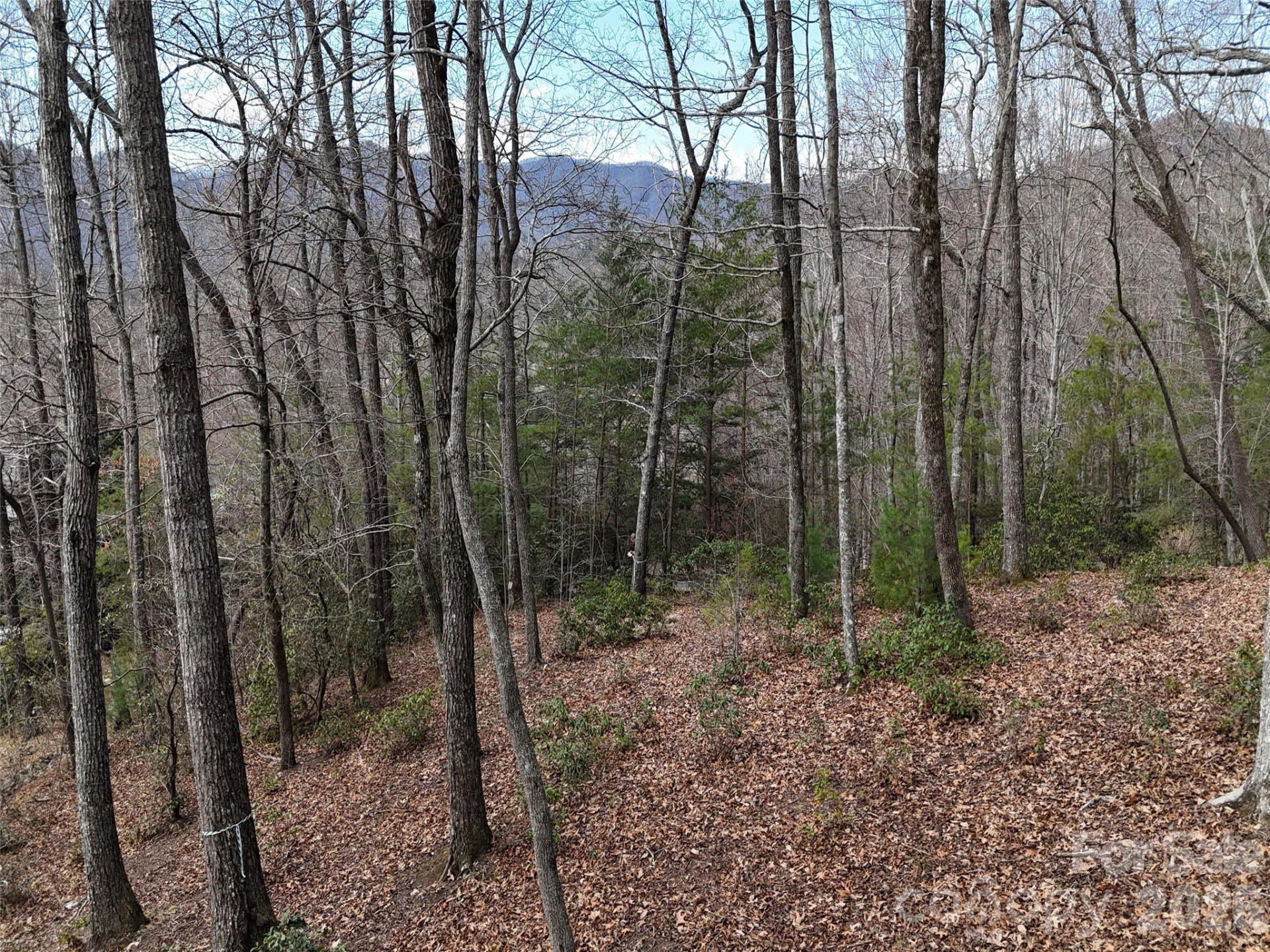 709 Craggyside Lane #24 - Photo 11