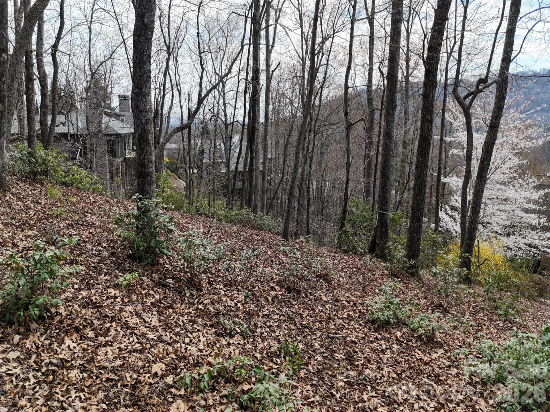 709 Craggyside Lane #24 - Photo 3