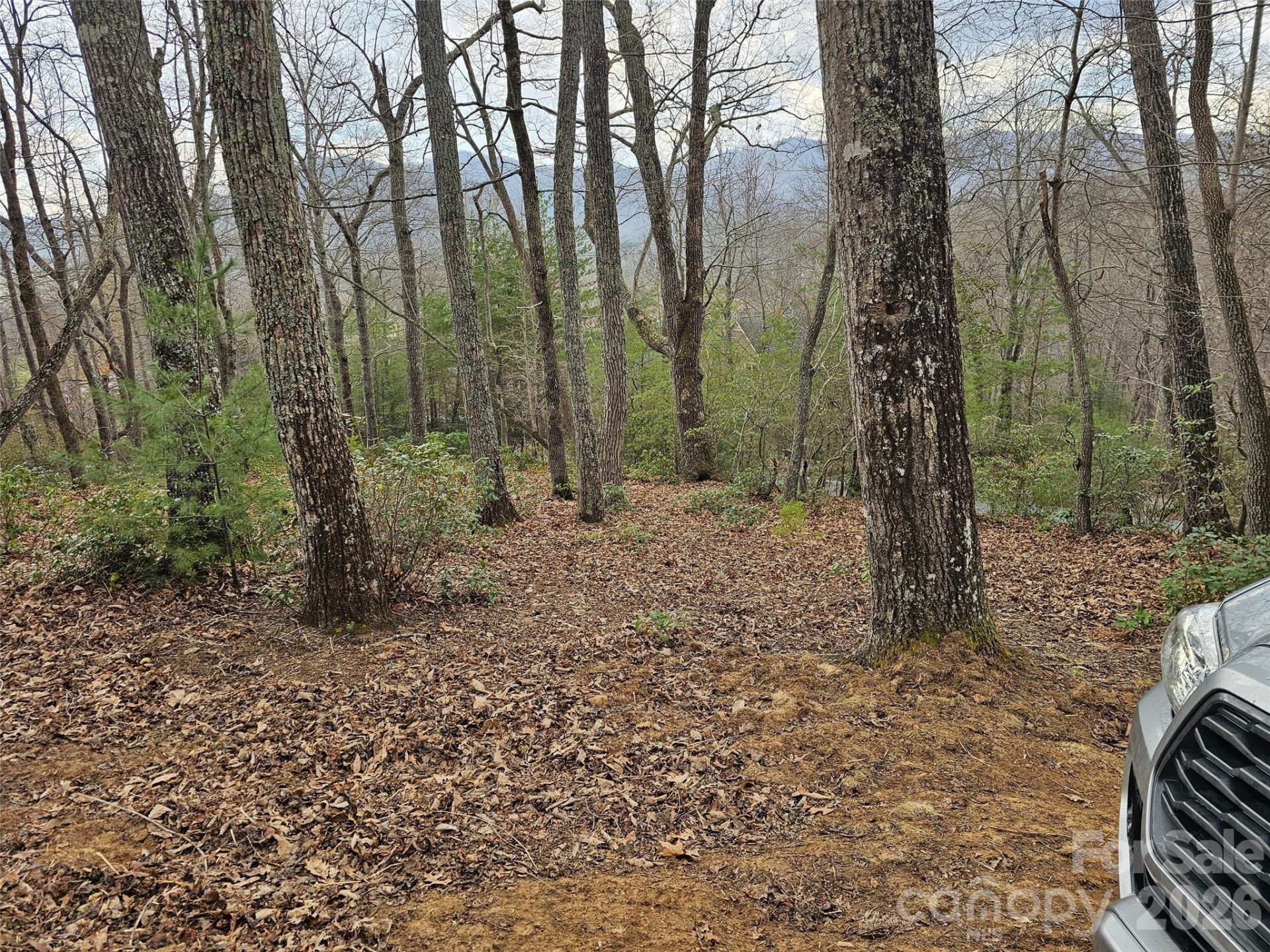 709 Craggyside Lane #24 - Photo 4