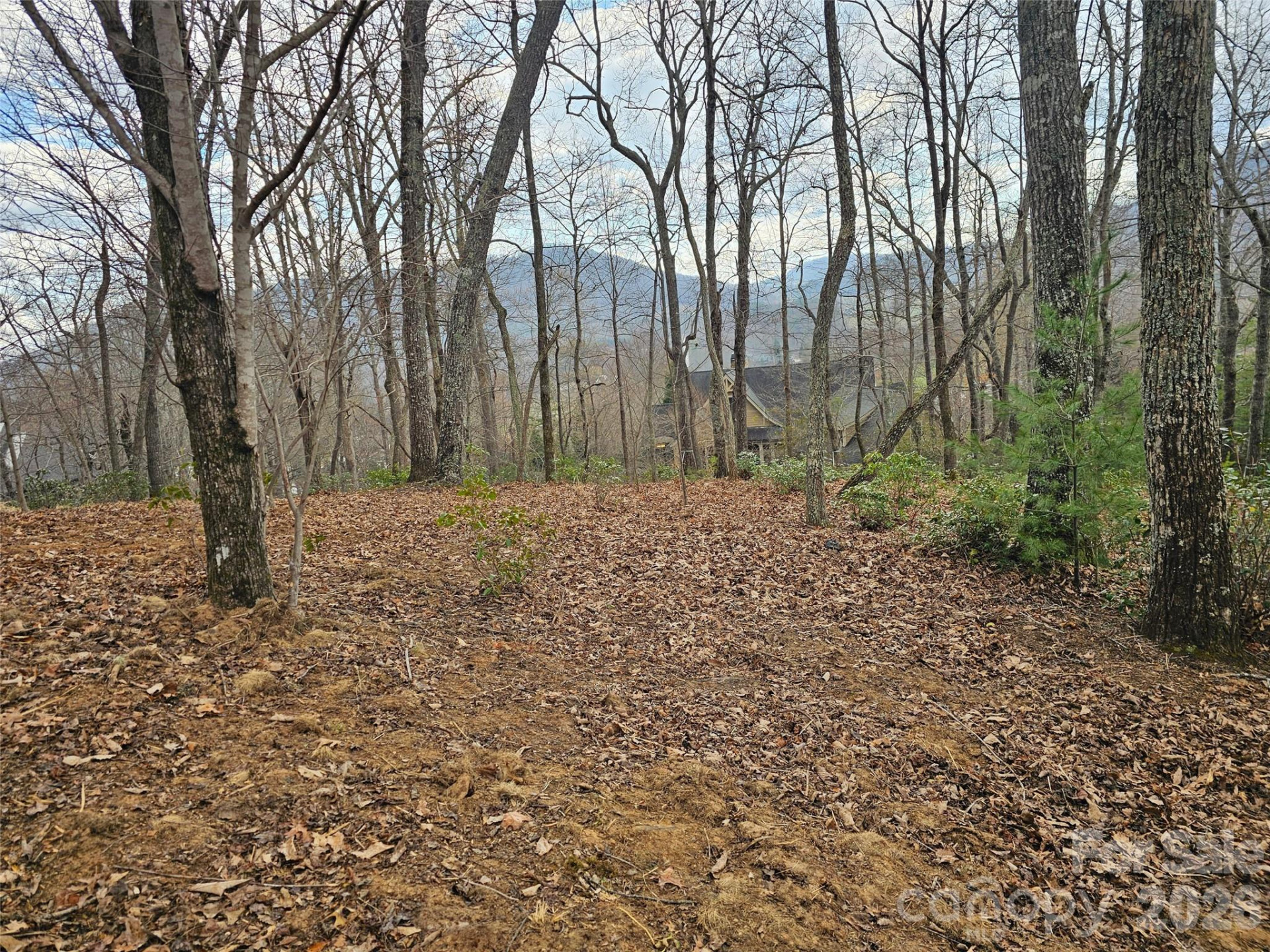 709 Craggyside Lane #24 - Photo 5