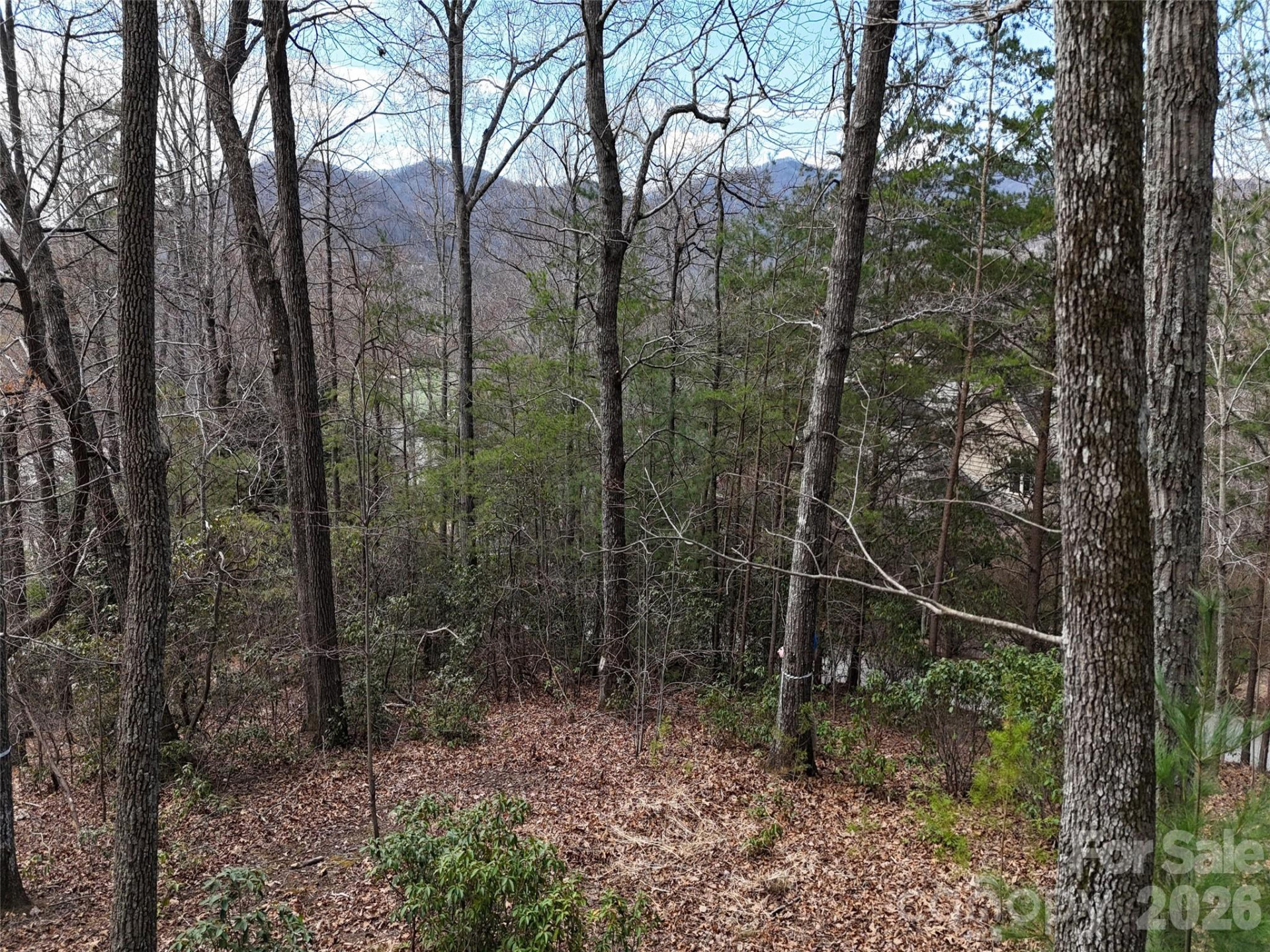 709 Craggyside Lane #24 - Photo 6