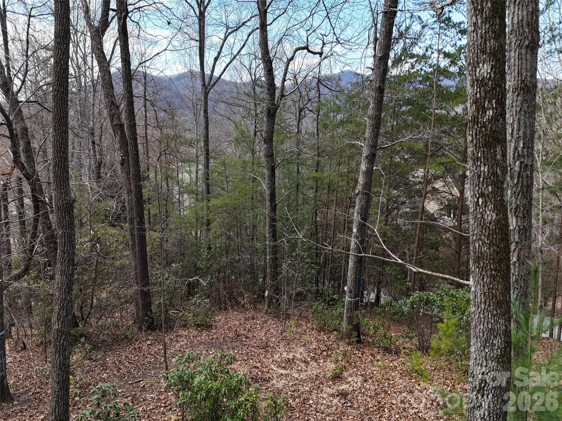 709 Craggyside Lane #24 - Photo 6