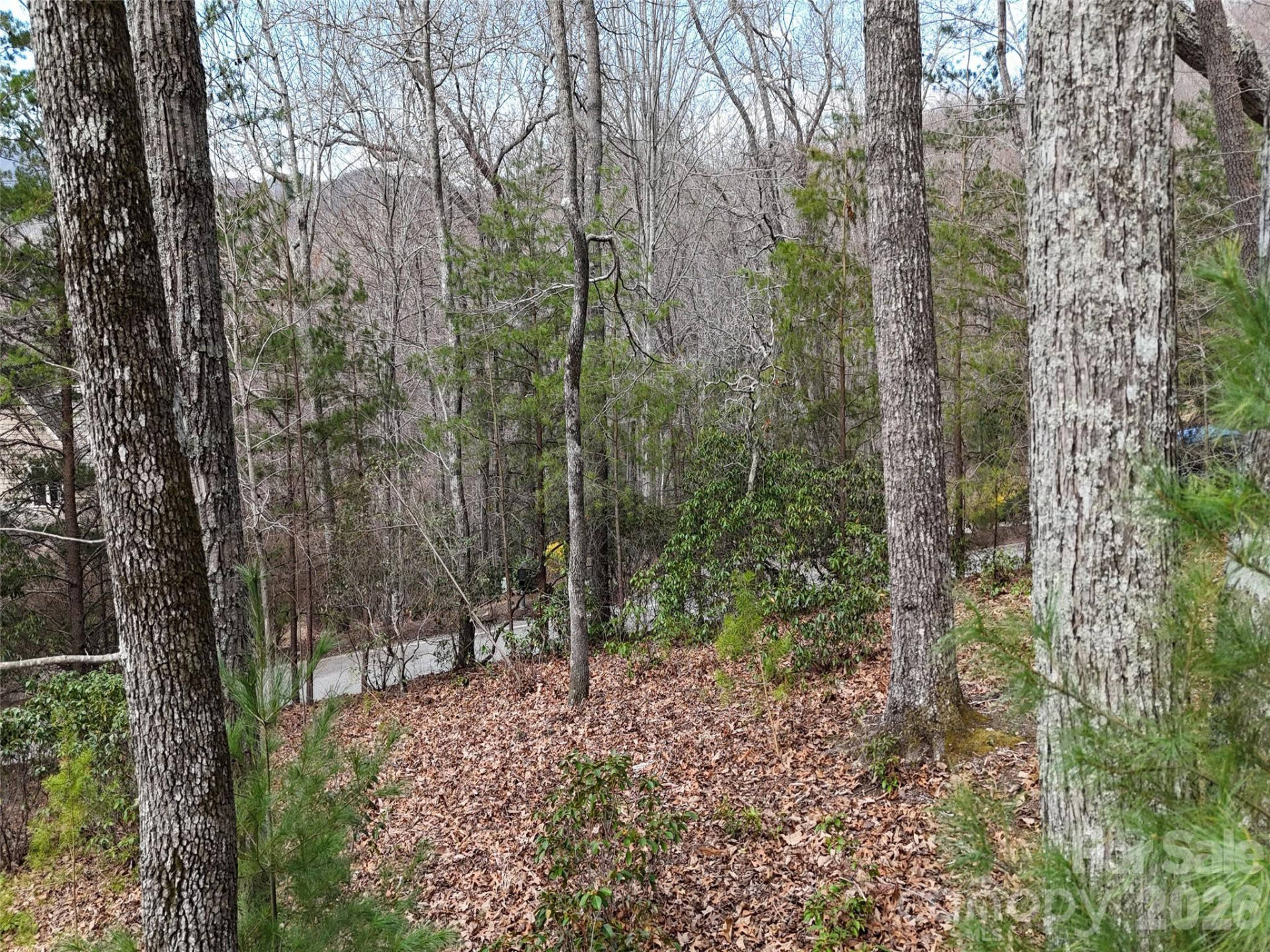 709 Craggyside Lane #24 - Photo 7