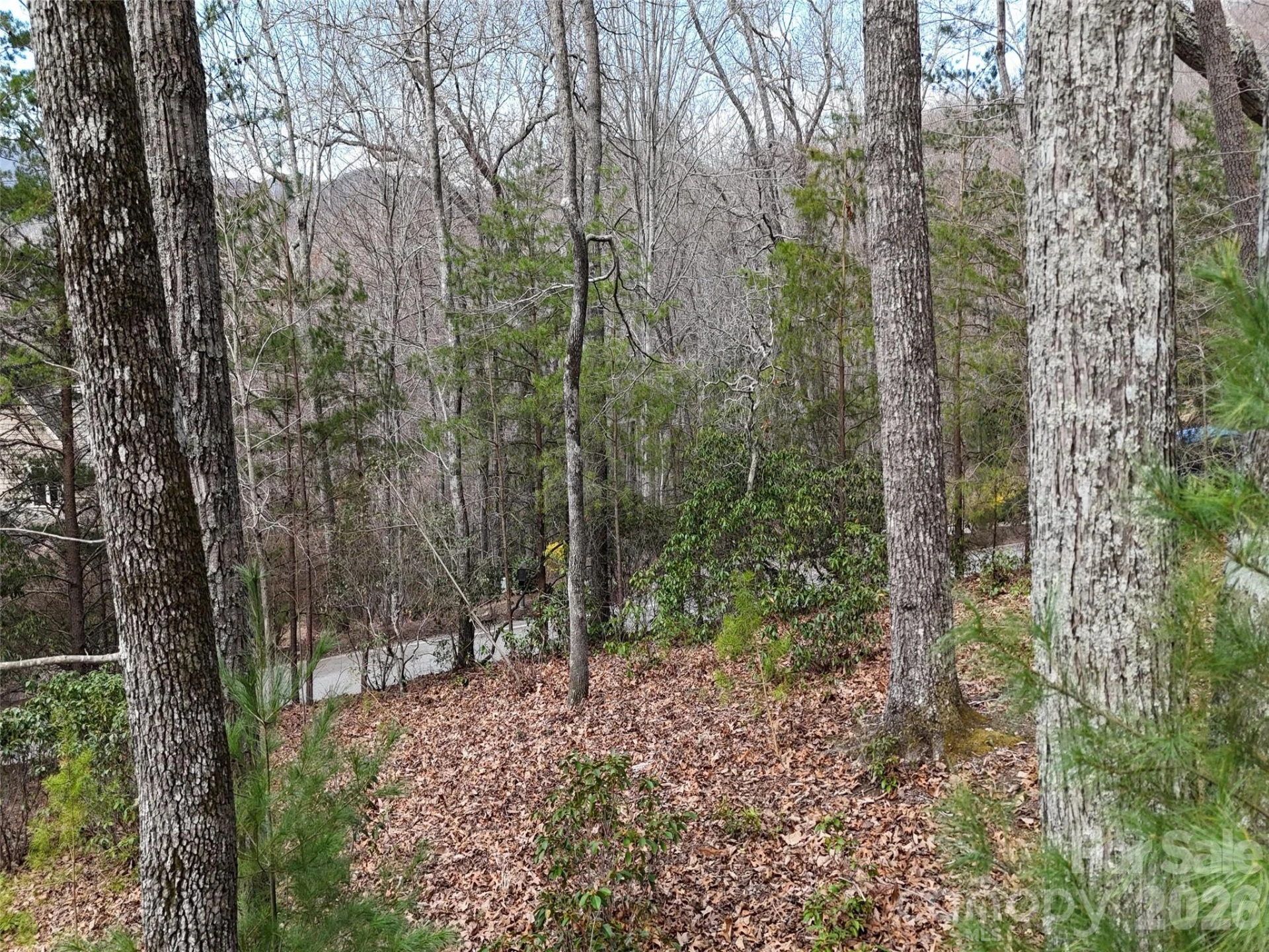 709 Craggyside Lane #24 - Photo 7
