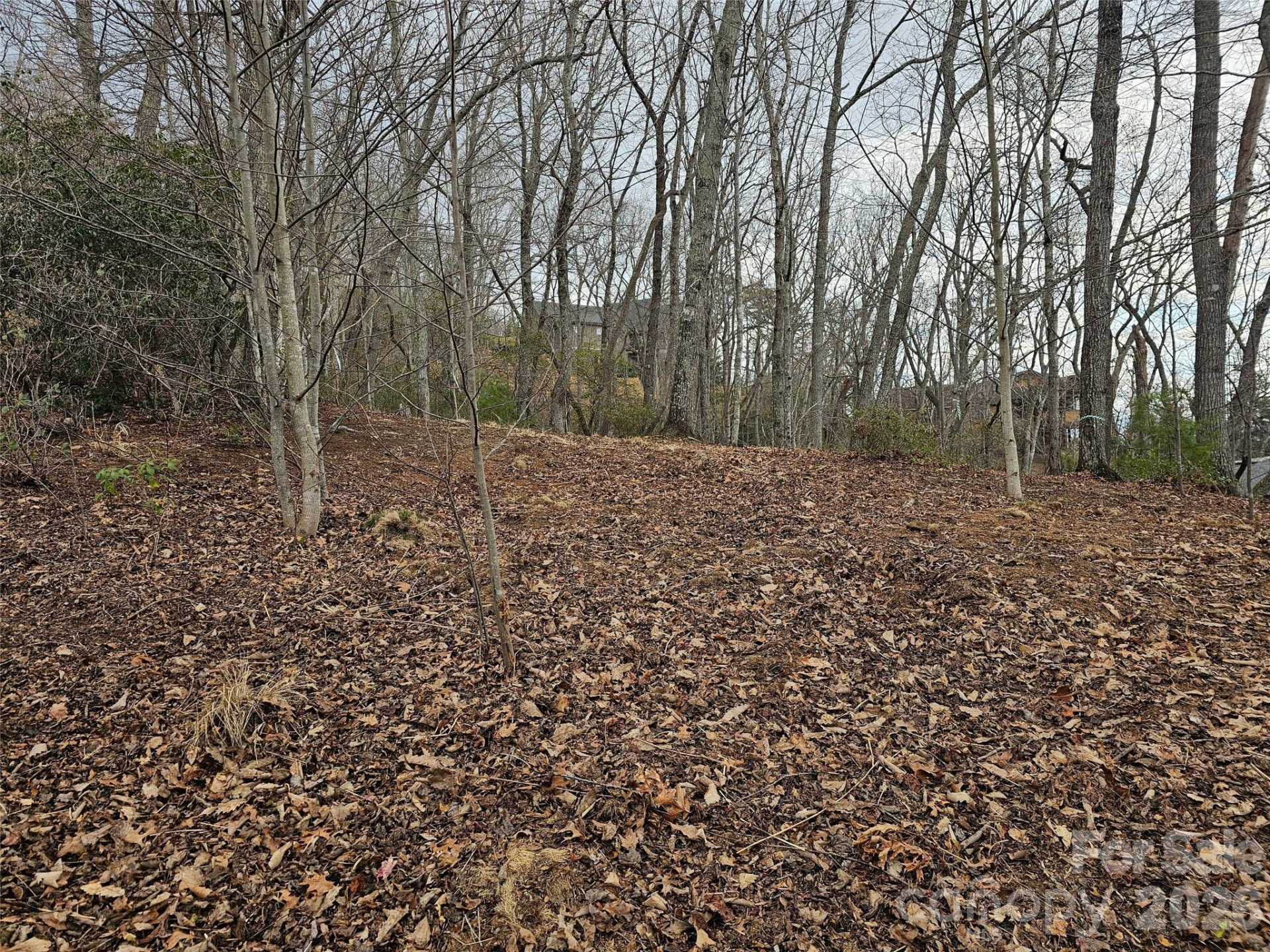 709 Craggyside Lane #24 - Photo 8