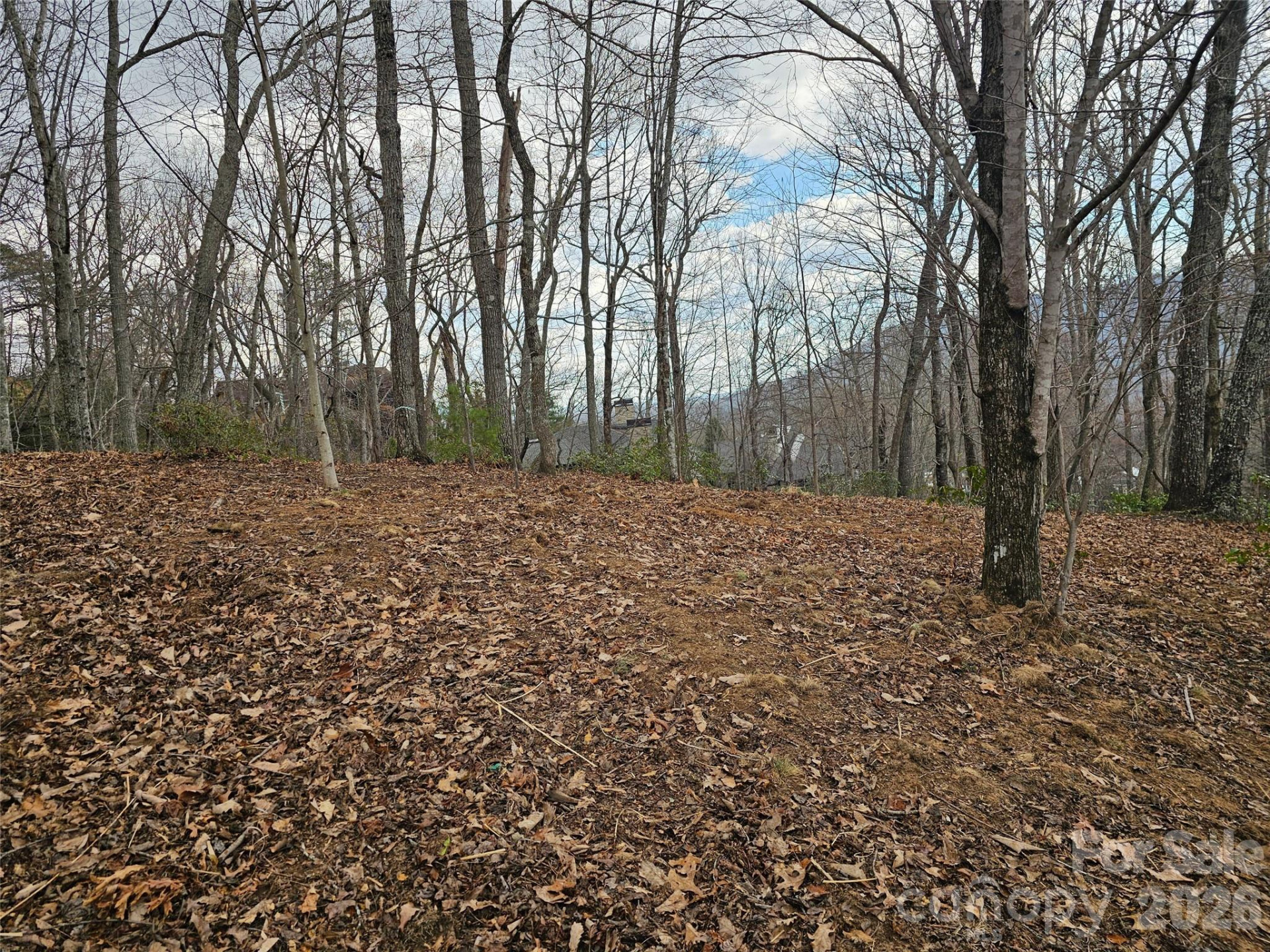 709 Craggyside Lane #24 - Photo 9