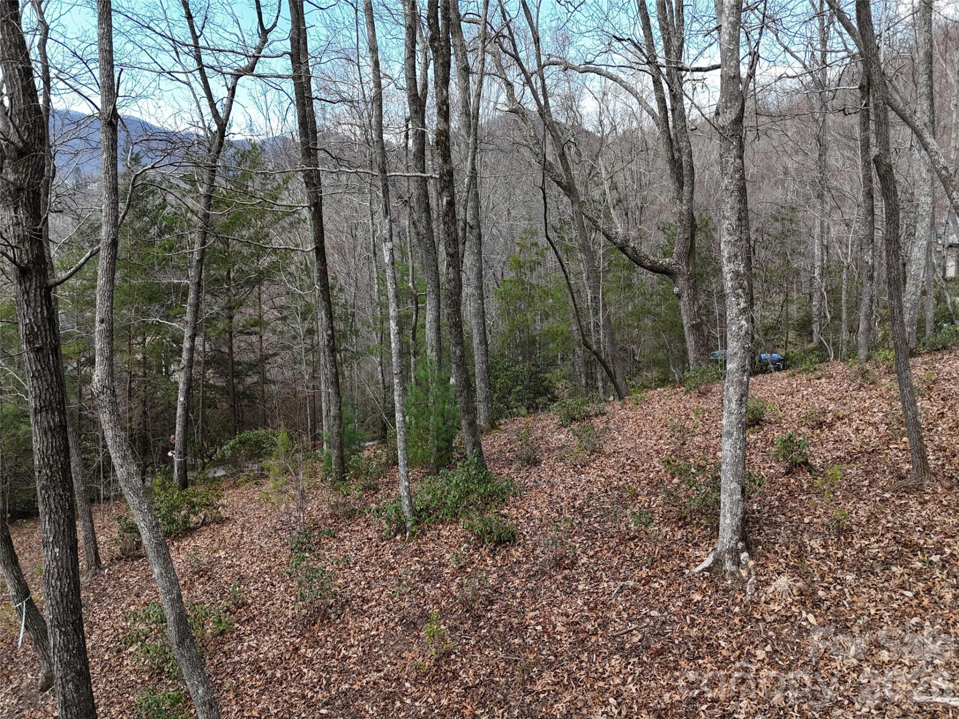 709 Craggyside Lane #24 - Photo 10