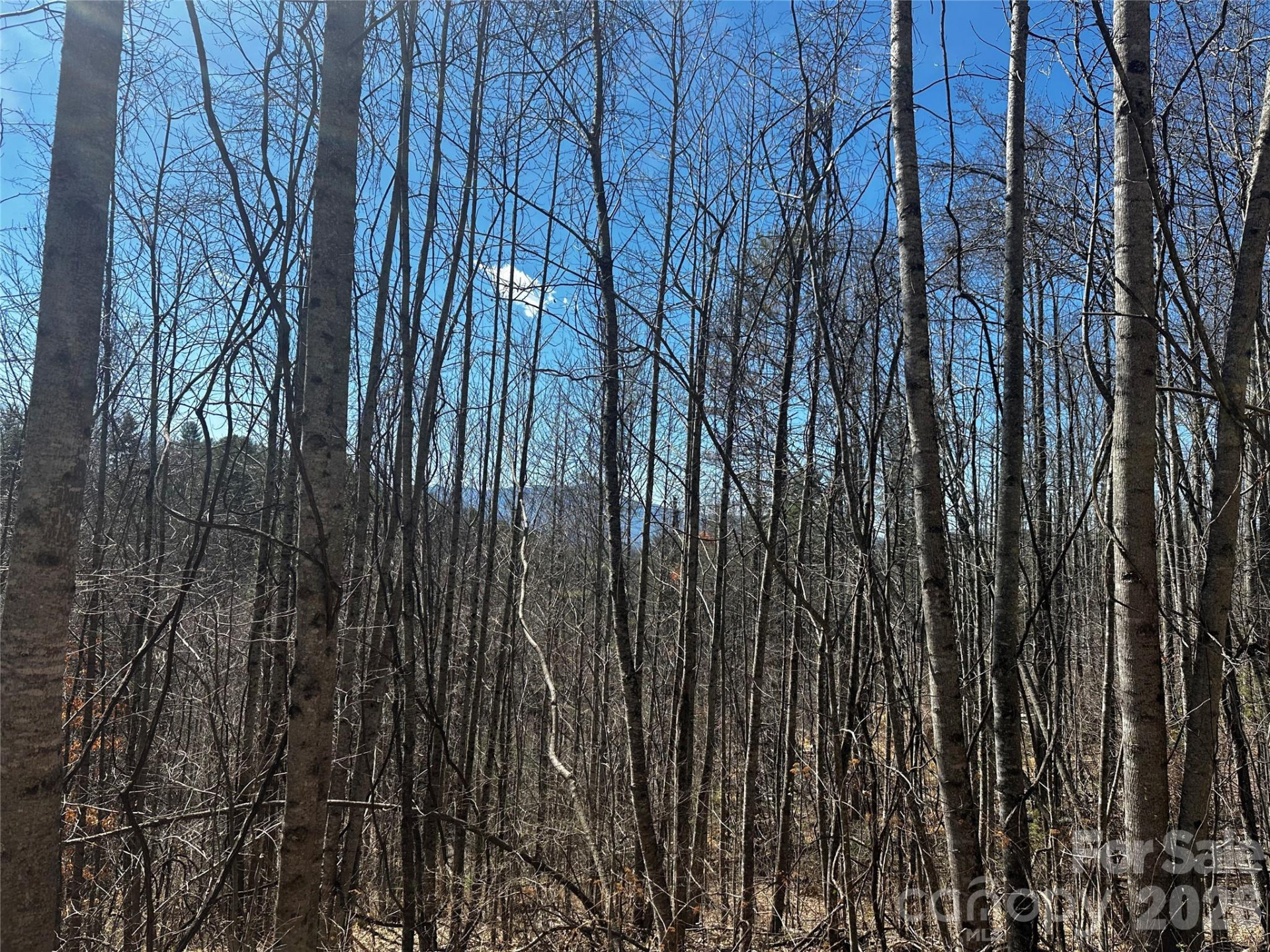 00 Grace Ridge Road - Photo 2