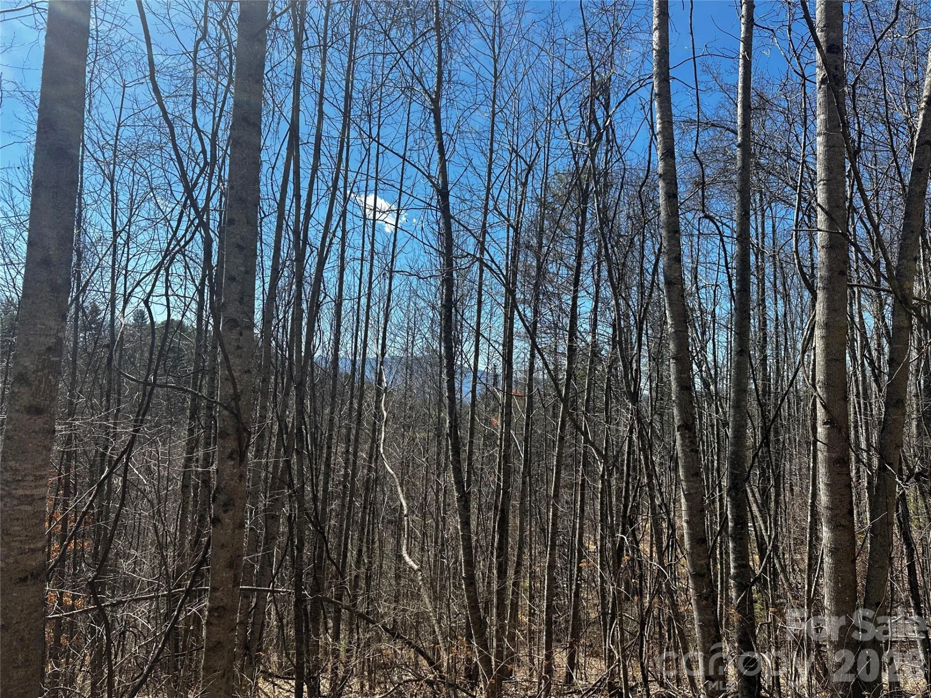 00 Grace Ridge Road - Photo 2