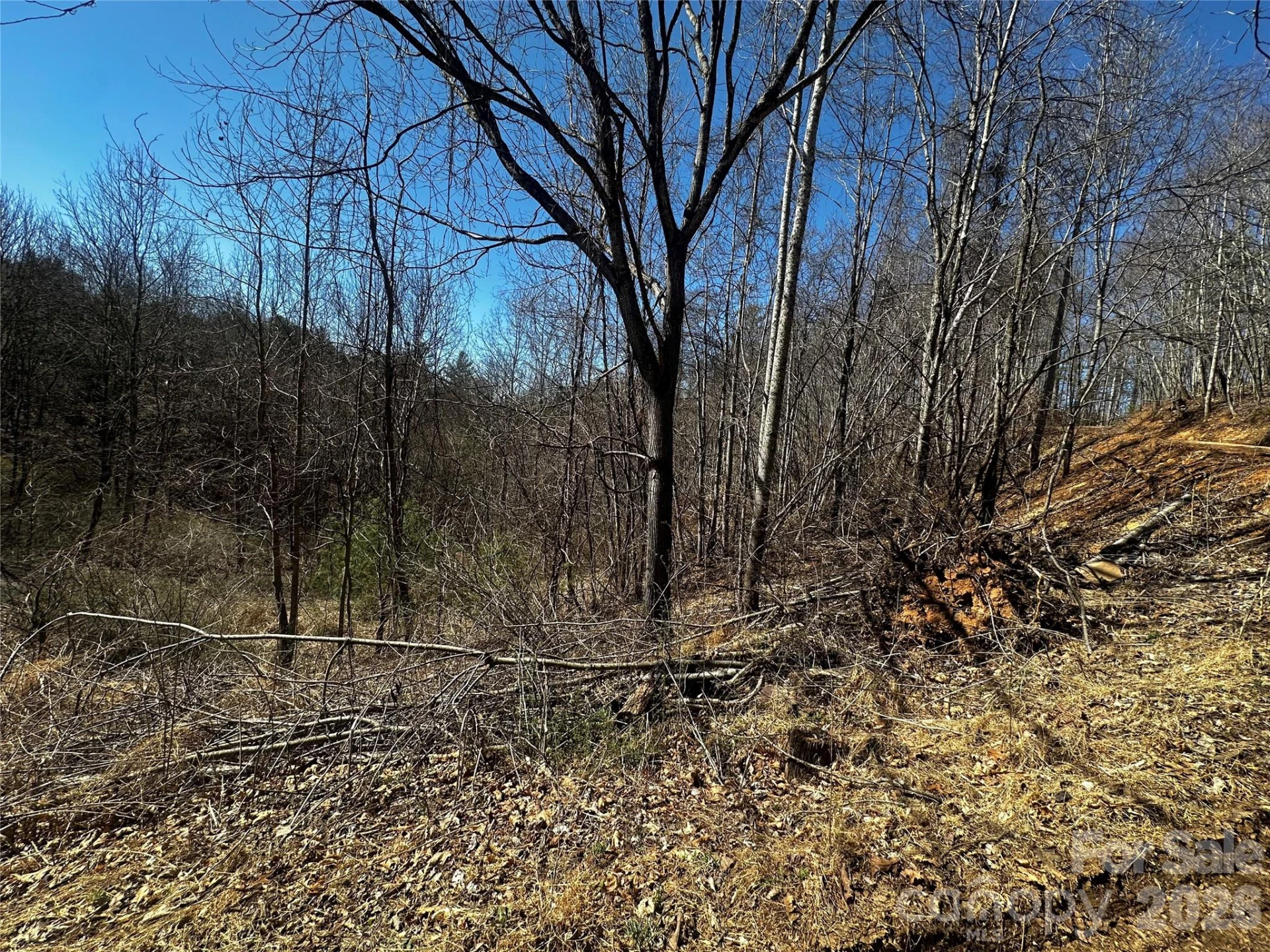 00 Grace Ridge Road - Photo 11