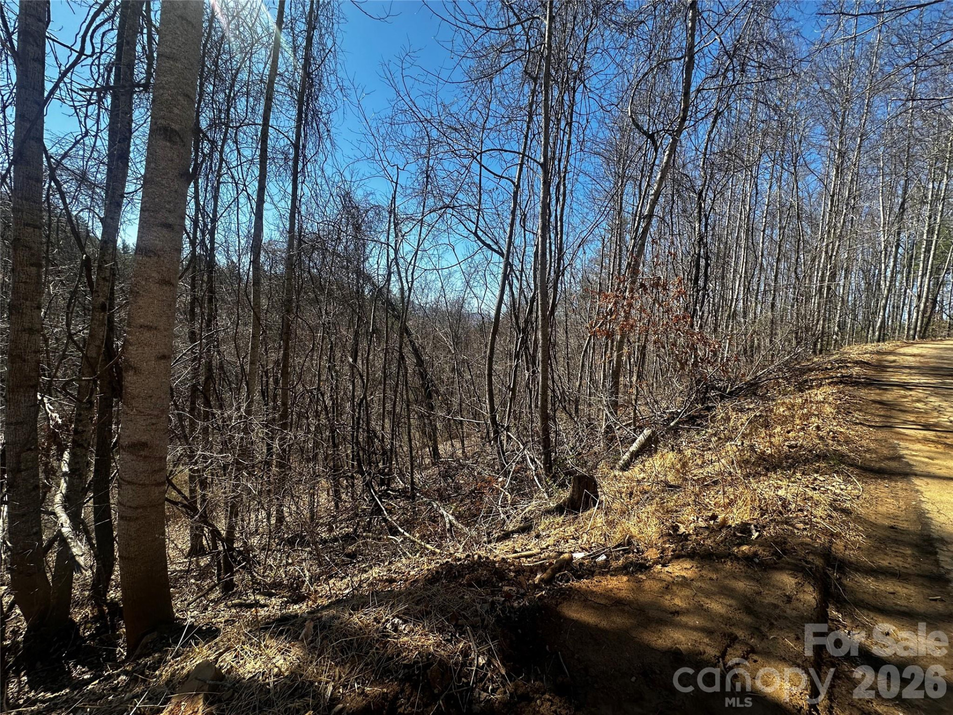 00 Grace Ridge Road - Photo 12