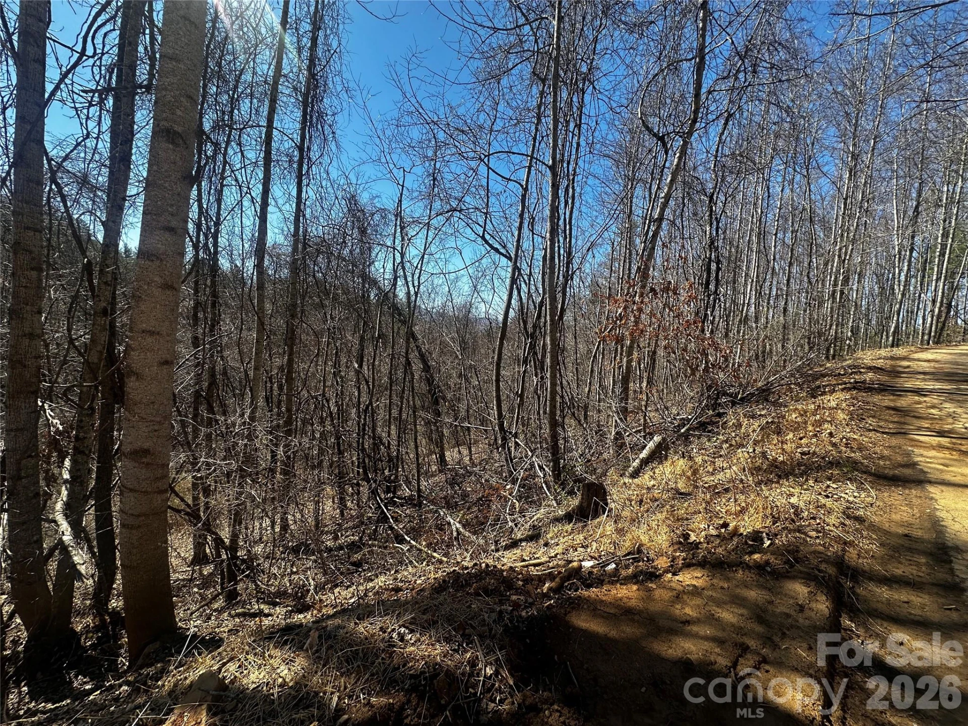 00 Grace Ridge Road - Photo 12