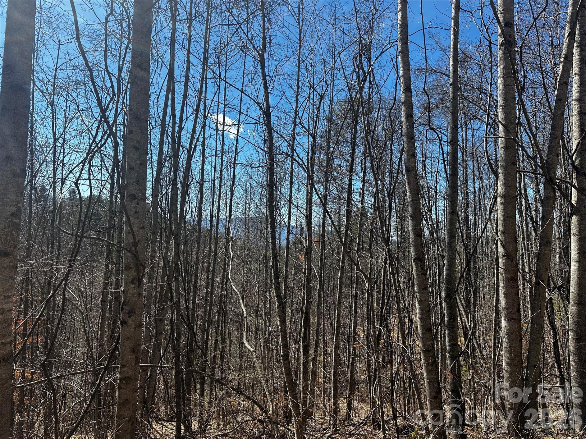 00 Grace Ridge Road - Photo 13