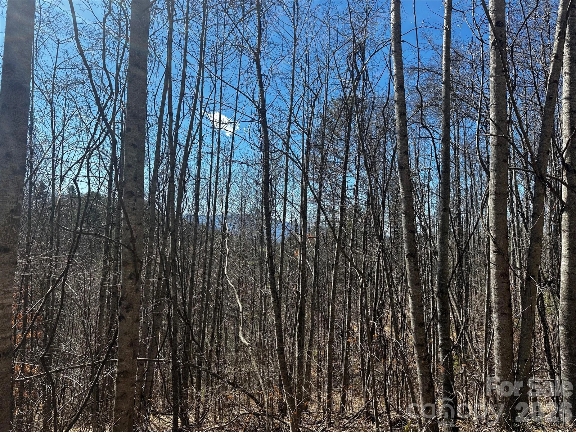 00 Grace Ridge Road - Photo 13