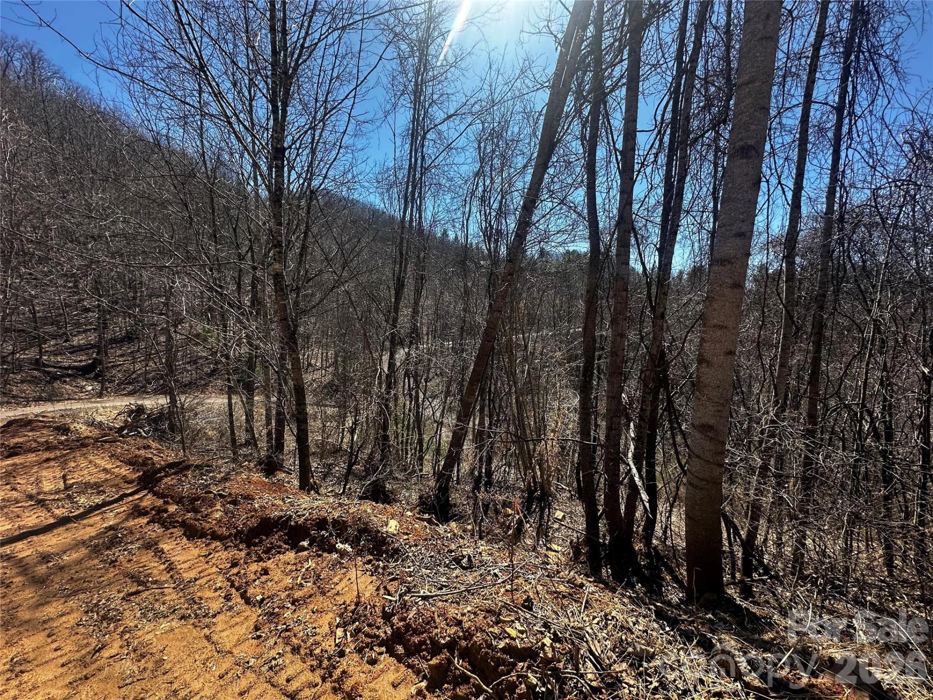 00 Grace Ridge Road - Photo 3