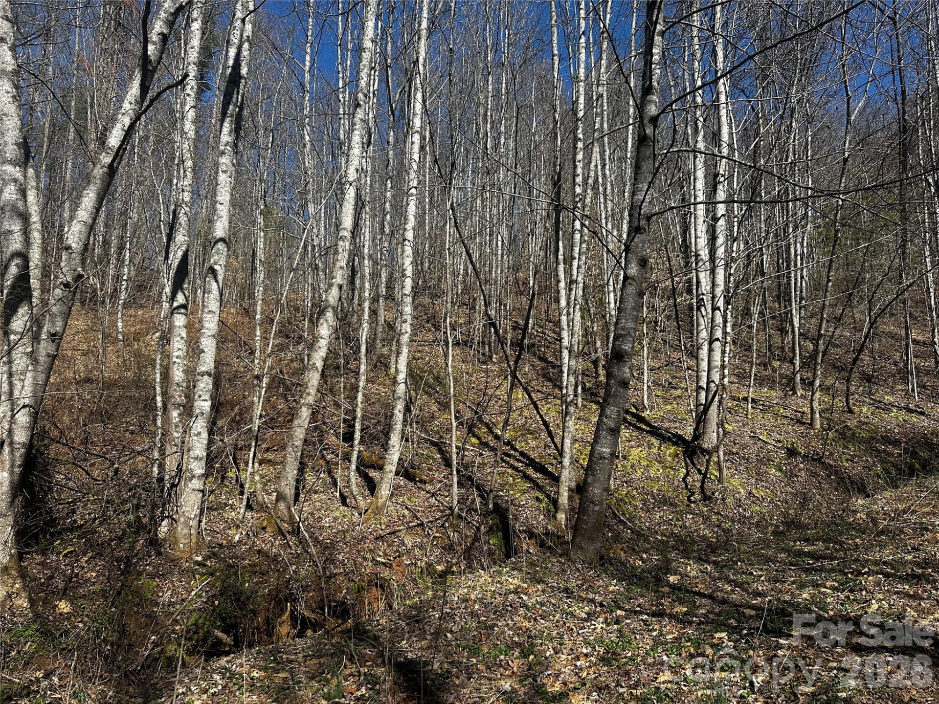 00 Grace Ridge Road - Photo 4