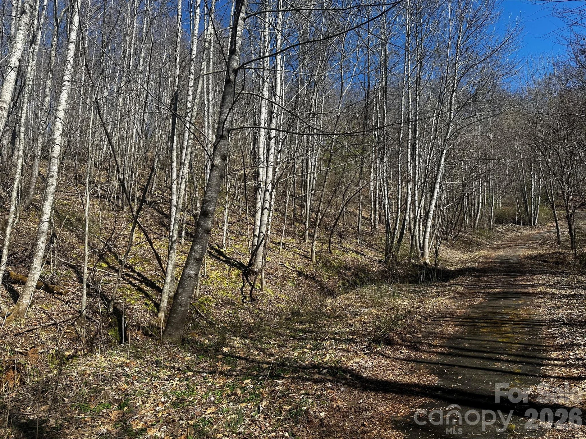 00 Grace Ridge Road - Photo 5