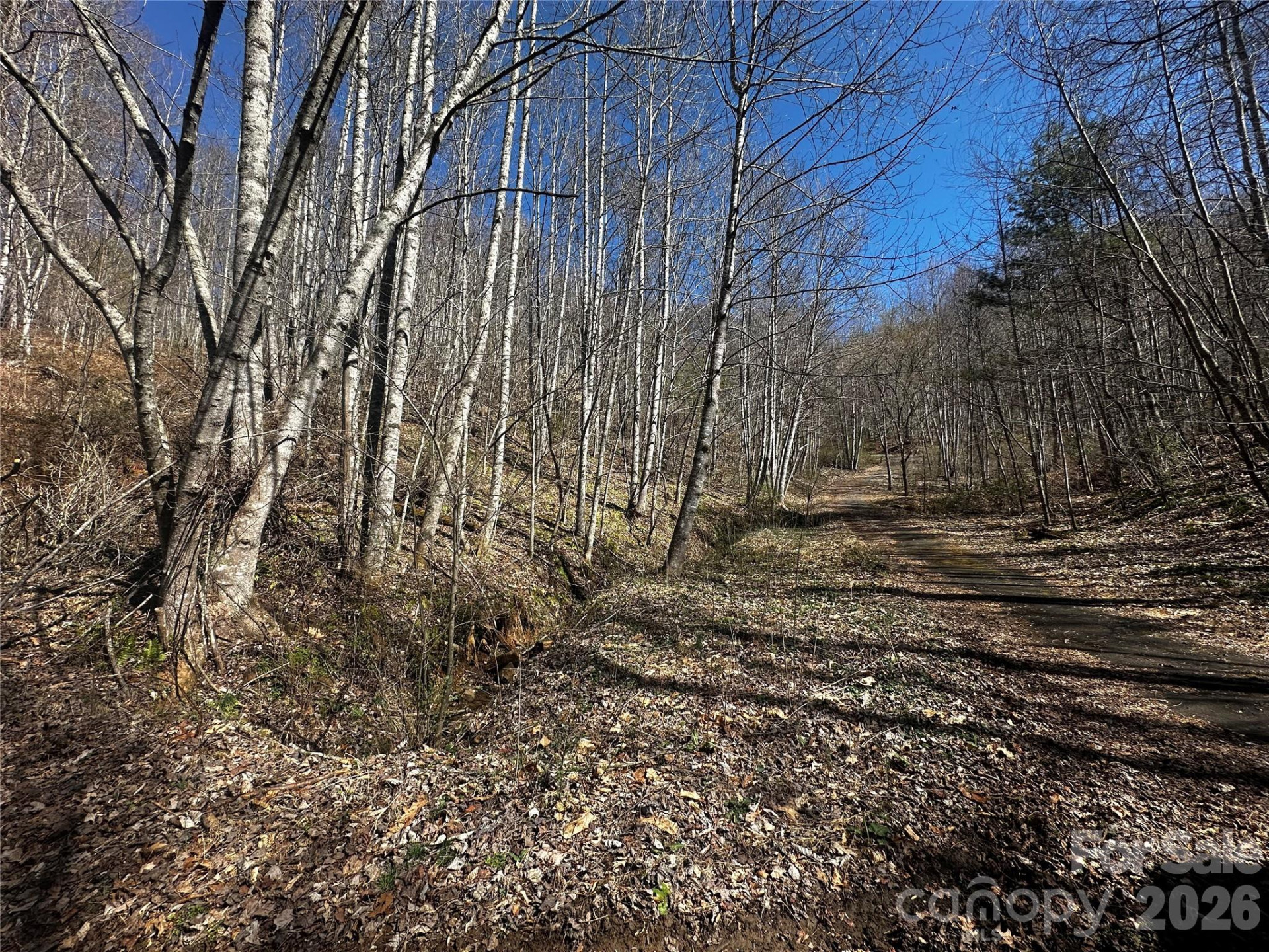 00 Grace Ridge Road - Photo 6