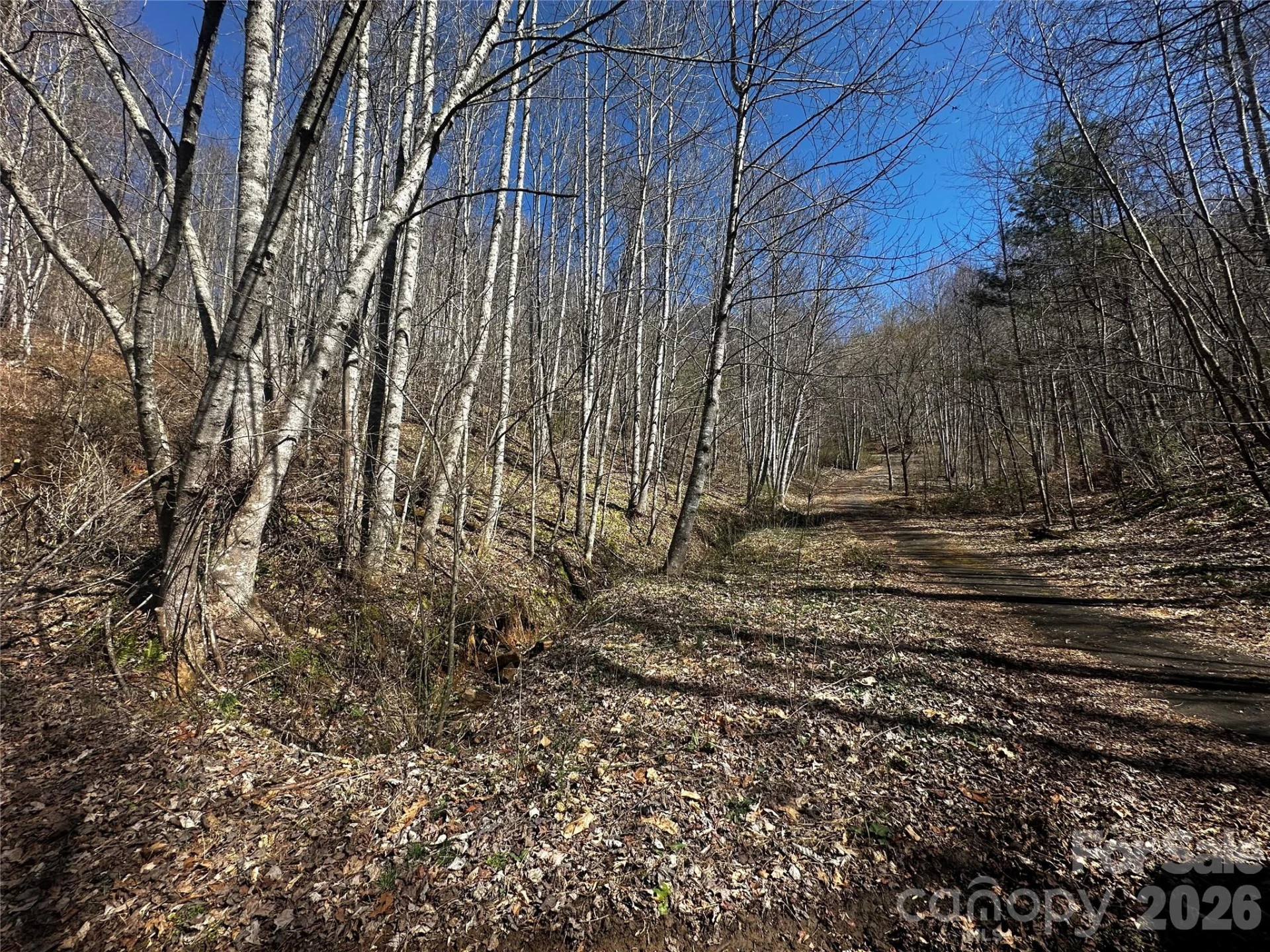 00 Grace Ridge Road - Photo 6
