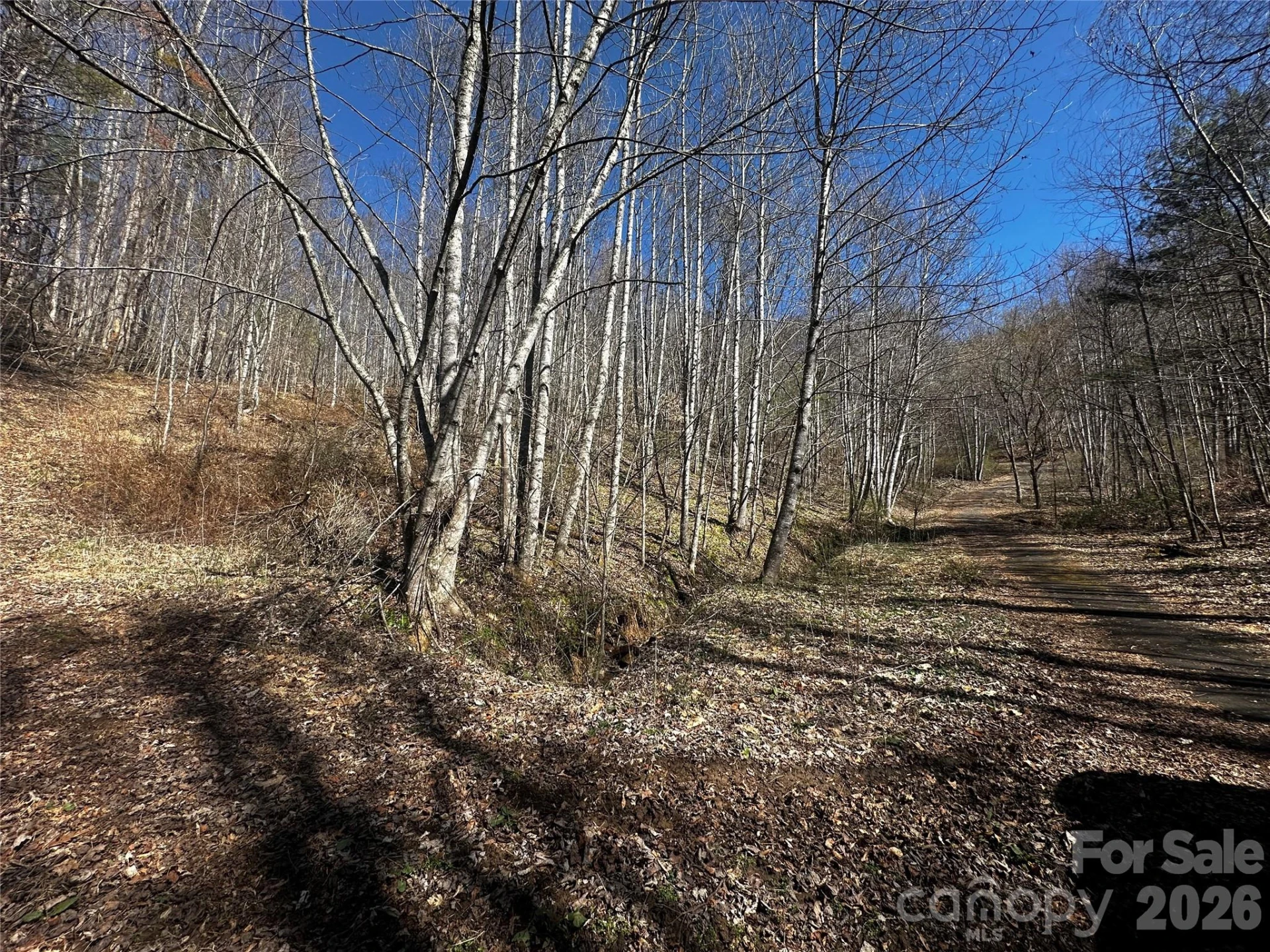 00 Grace Ridge Road - Photo 7