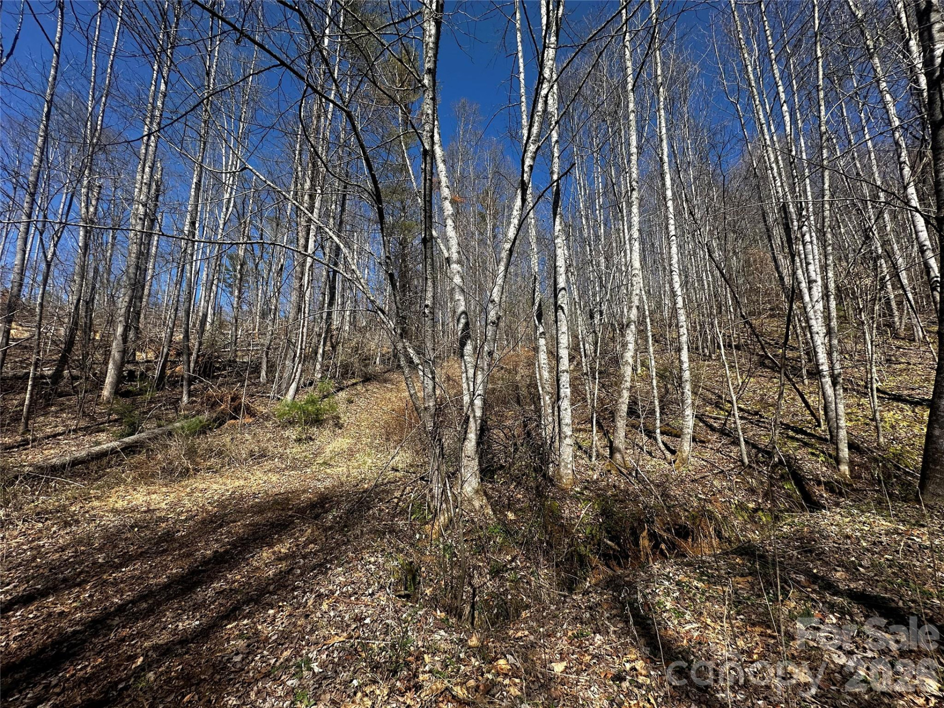 00 Grace Ridge Road - Photo 8