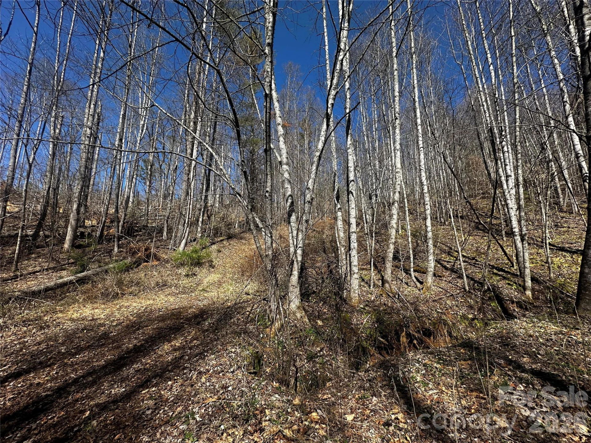 00 Grace Ridge Road - Photo 8