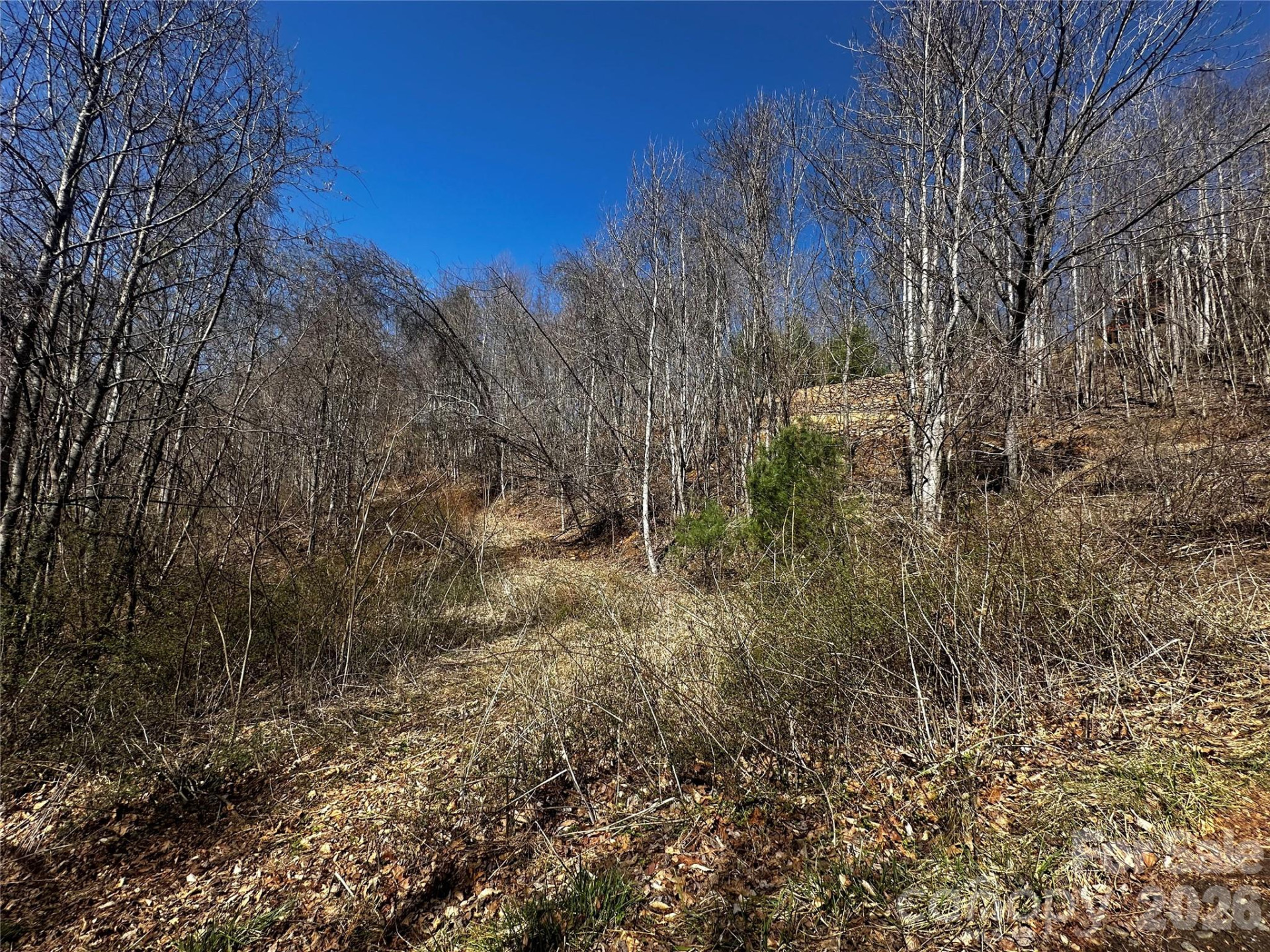 00 Grace Ridge Road - Photo 9