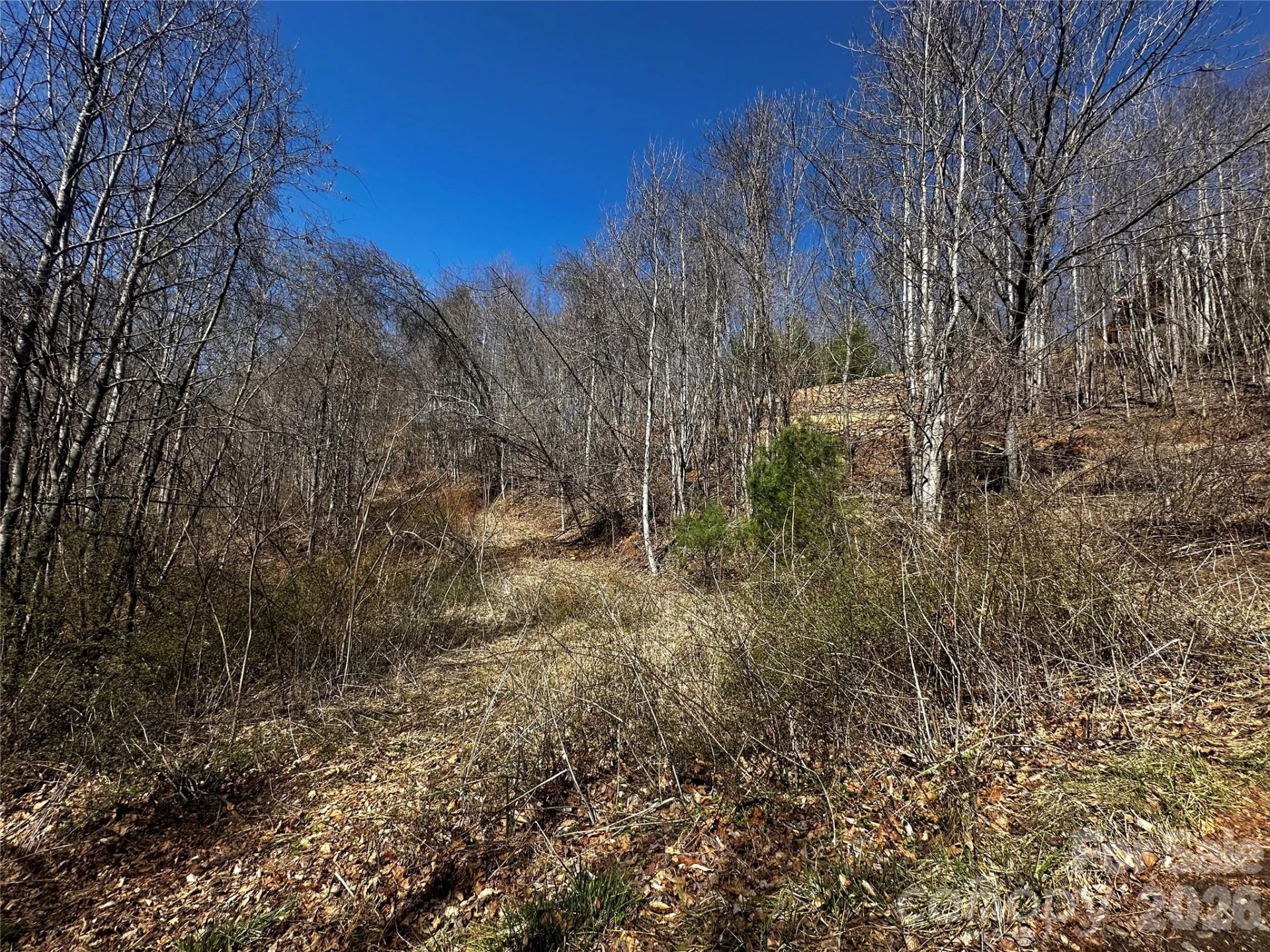 00 Grace Ridge Road - Photo 9