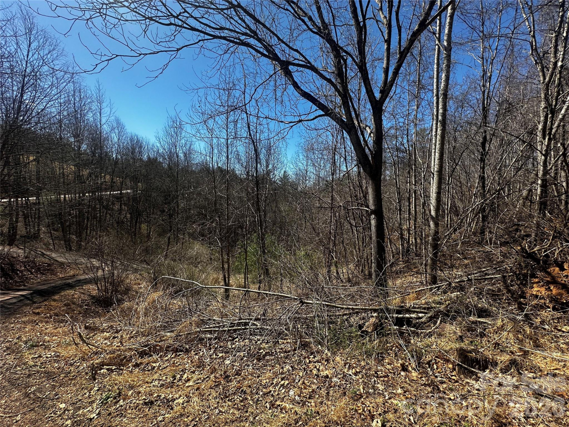 00 Grace Ridge Road - Photo 10