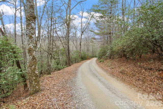 Lot 12 Patton Thicket Road, Burnsville, NC, 28714