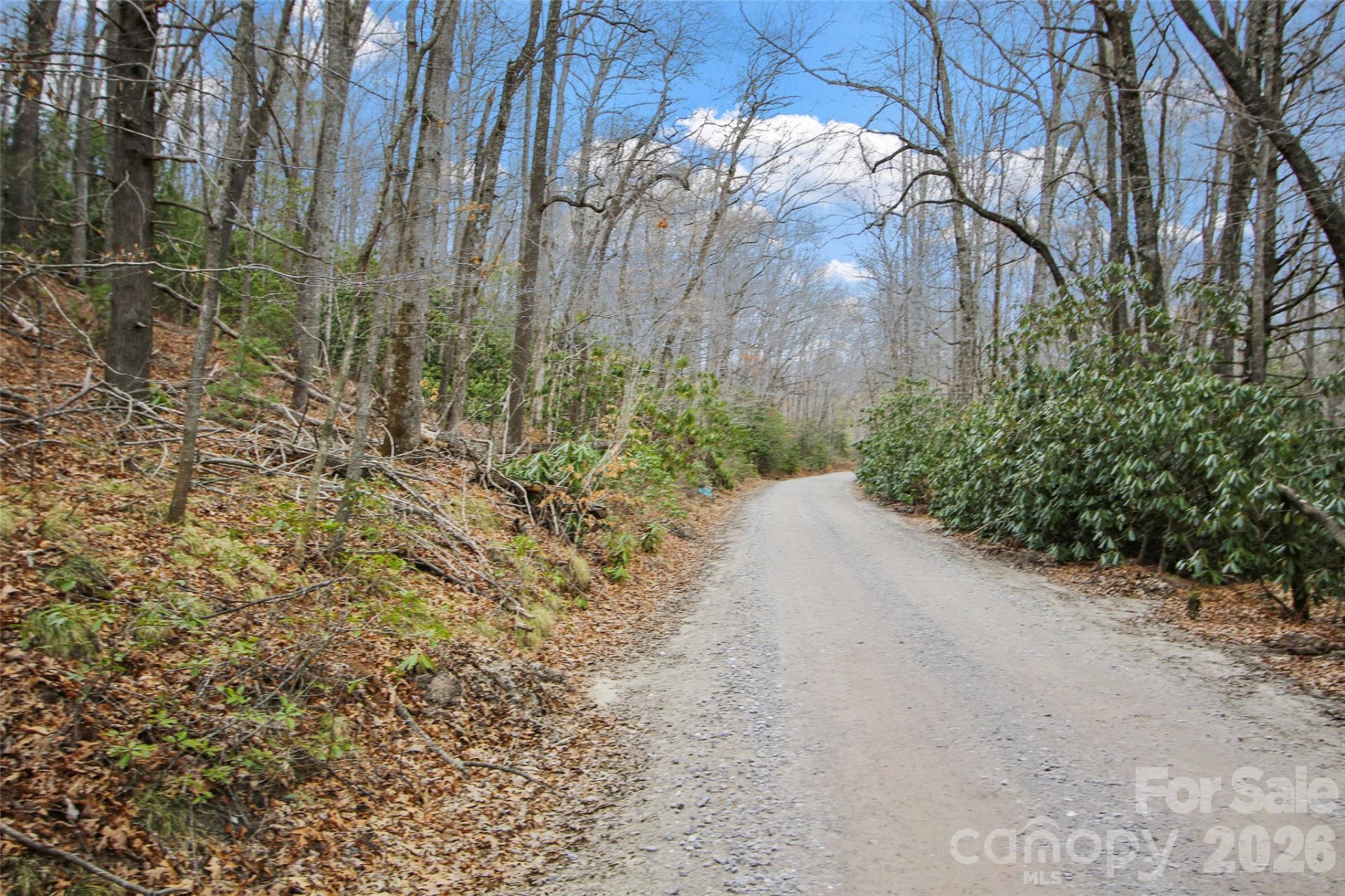 Lot 12 Patton Thicket Road - Photo 2