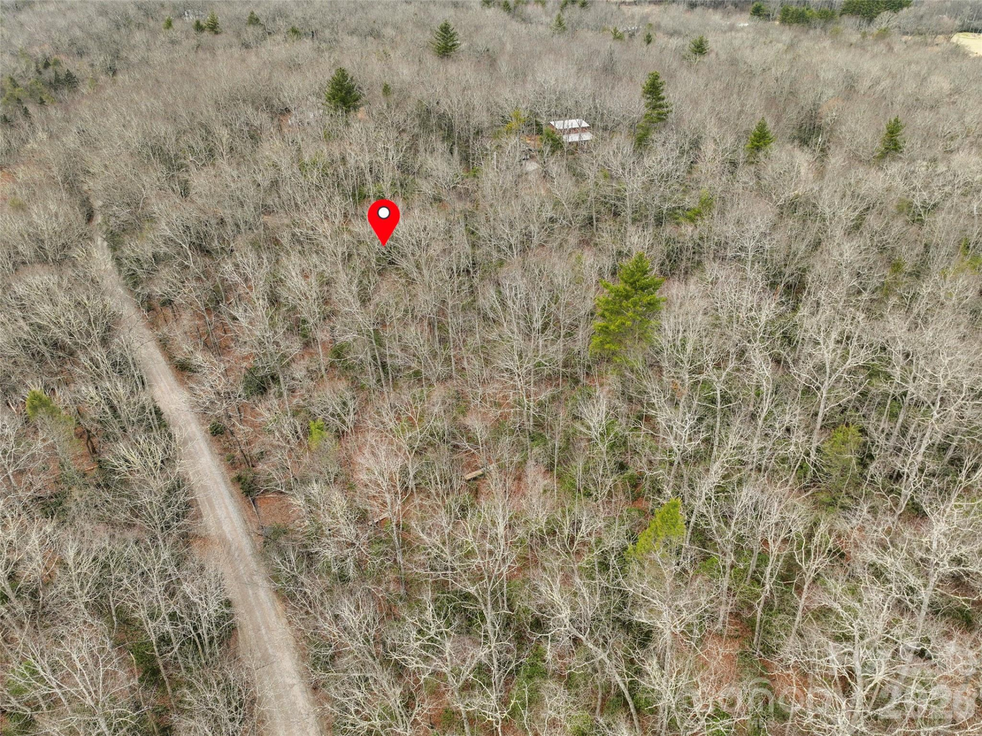 Lot 12 Patton Thicket Road - Photo 11