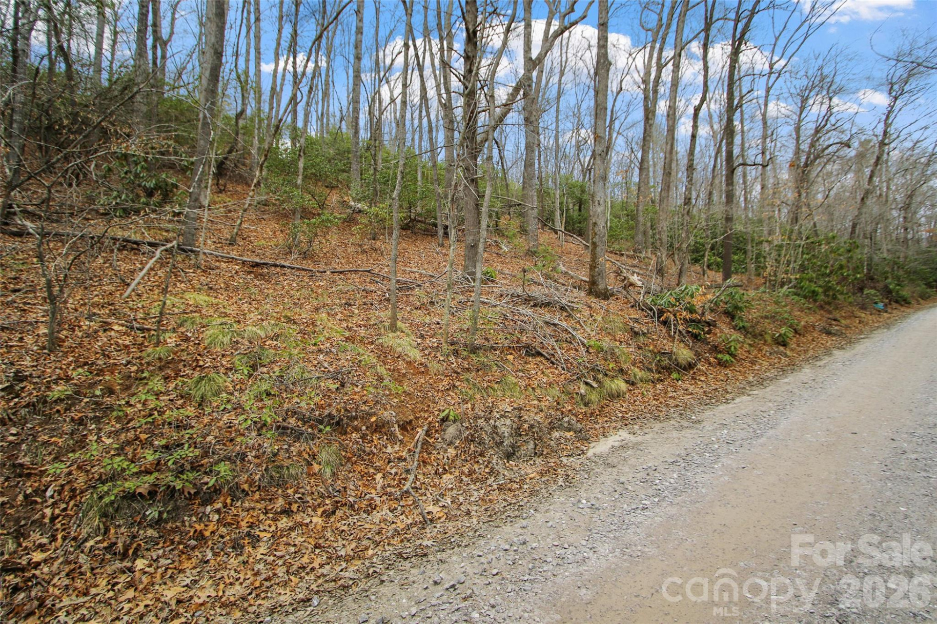 Lot 12 Patton Thicket Road - Photo 3
