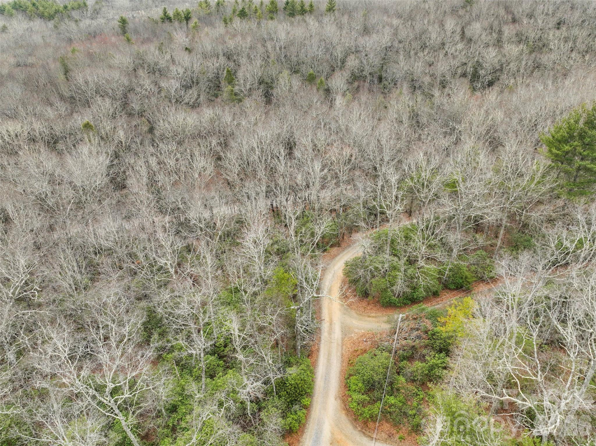 Lot 12 Patton Thicket Road - Photo 5