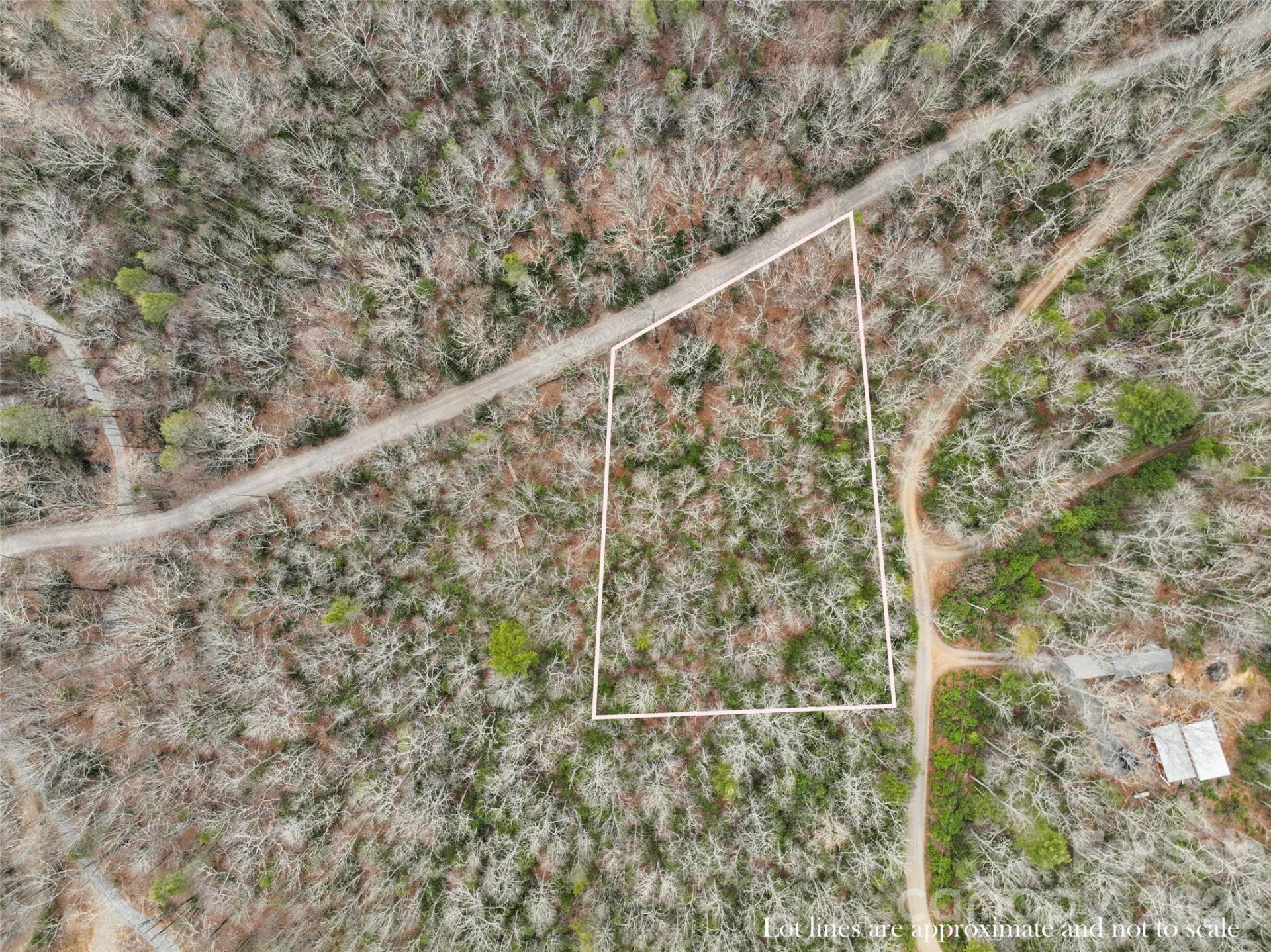 Lot 12 Patton Thicket Road - Photo 6
