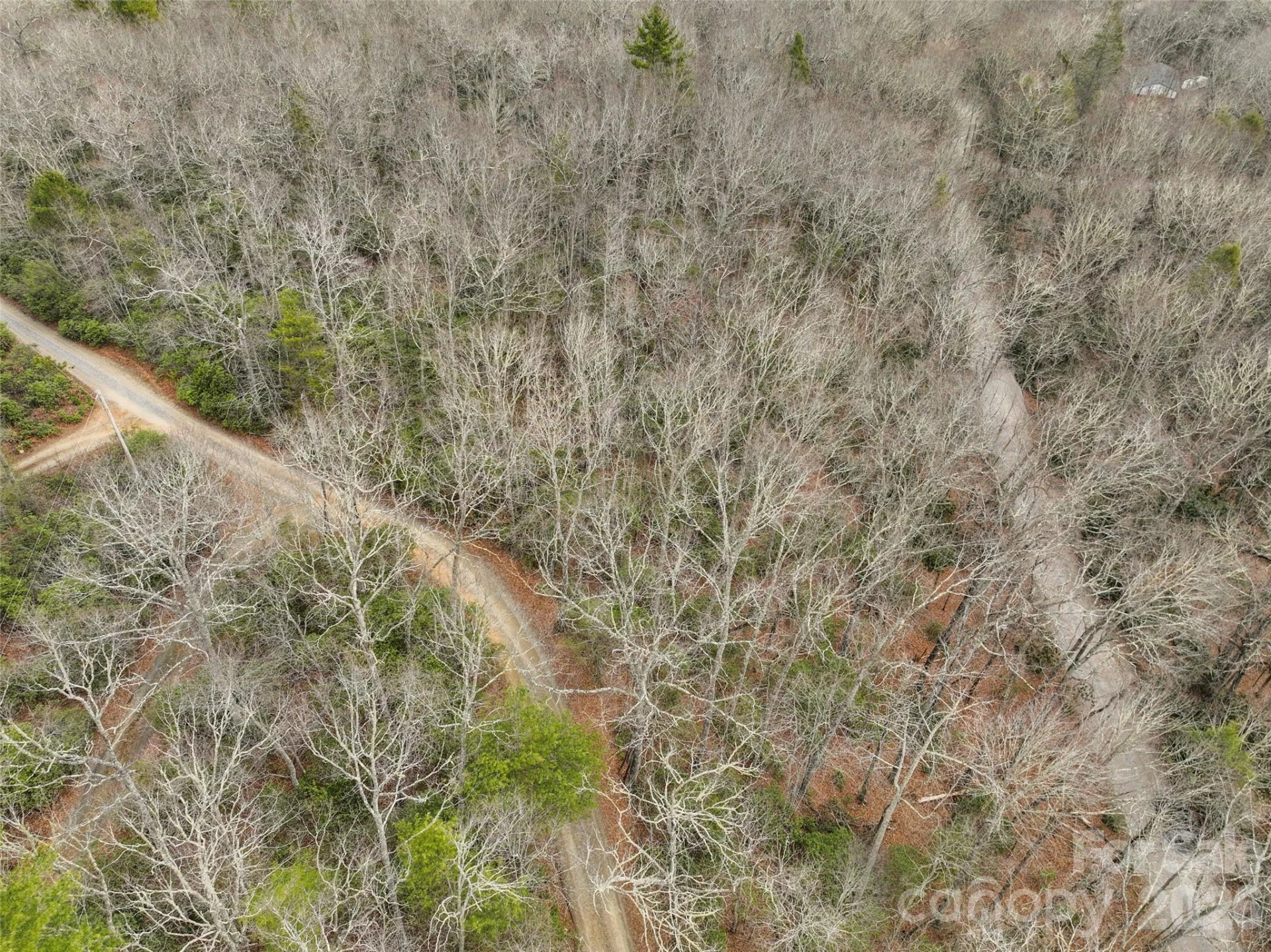 Lot 12 Patton Thicket Road - Photo 7
