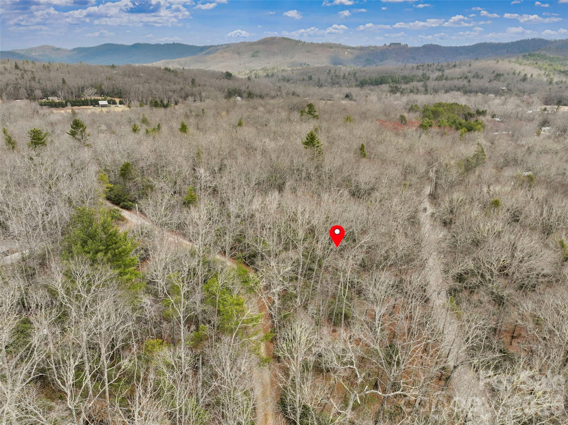 Lot 12 Patton Thicket Road - Photo 8